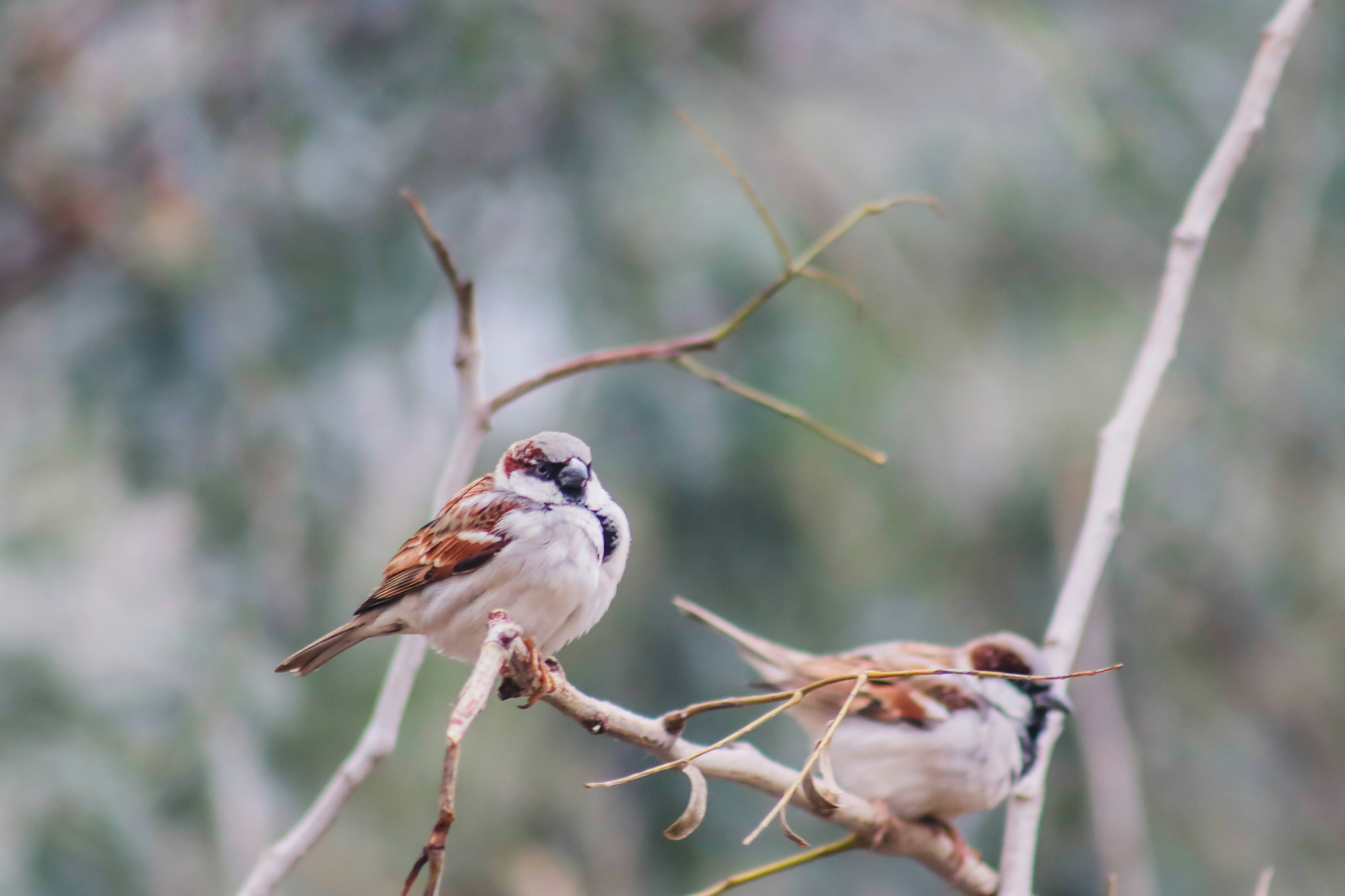 Photo by drphotographer152