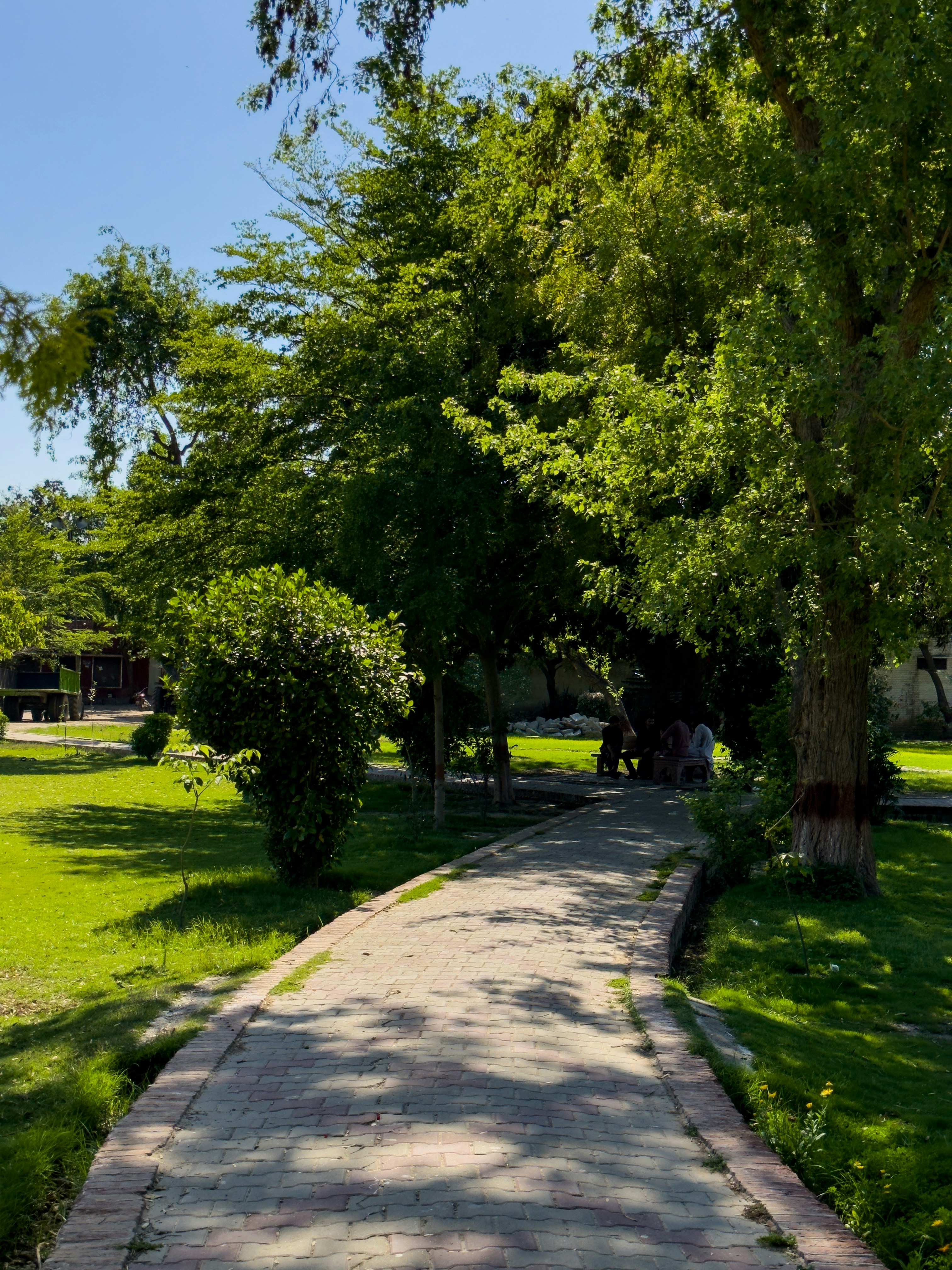 Photo by drphotographer152