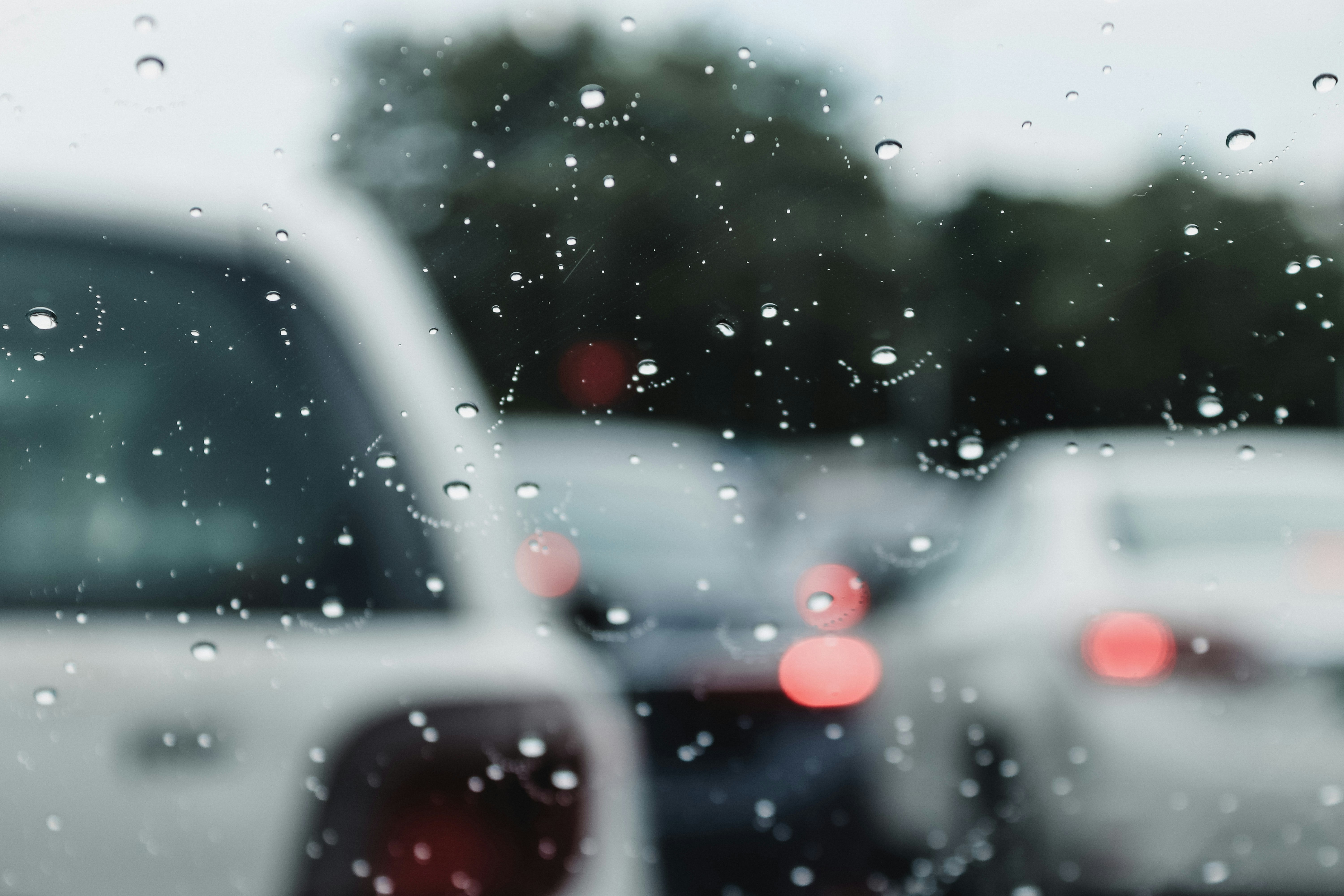 Photo by drphotographer152