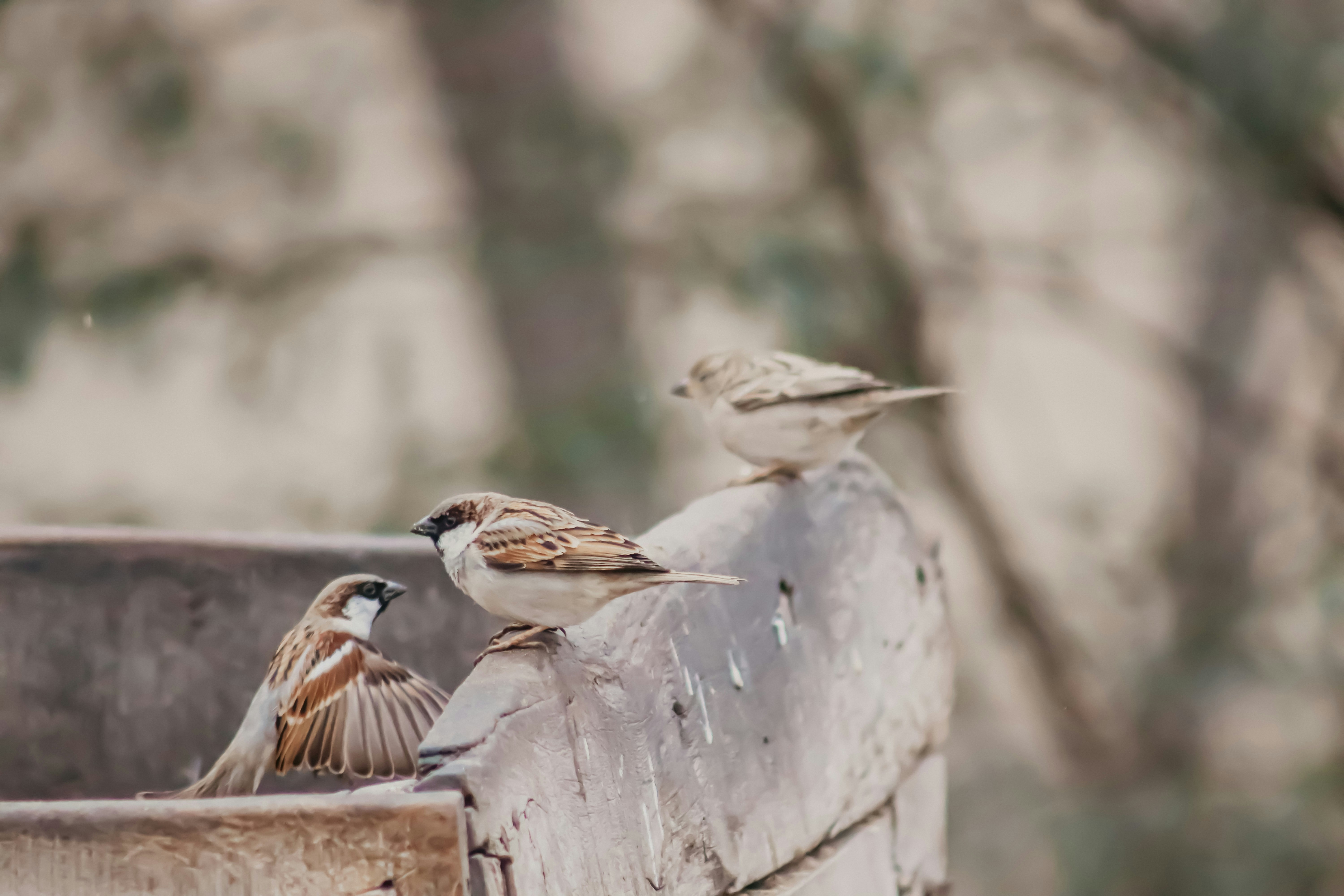 Photo by drphotographer152