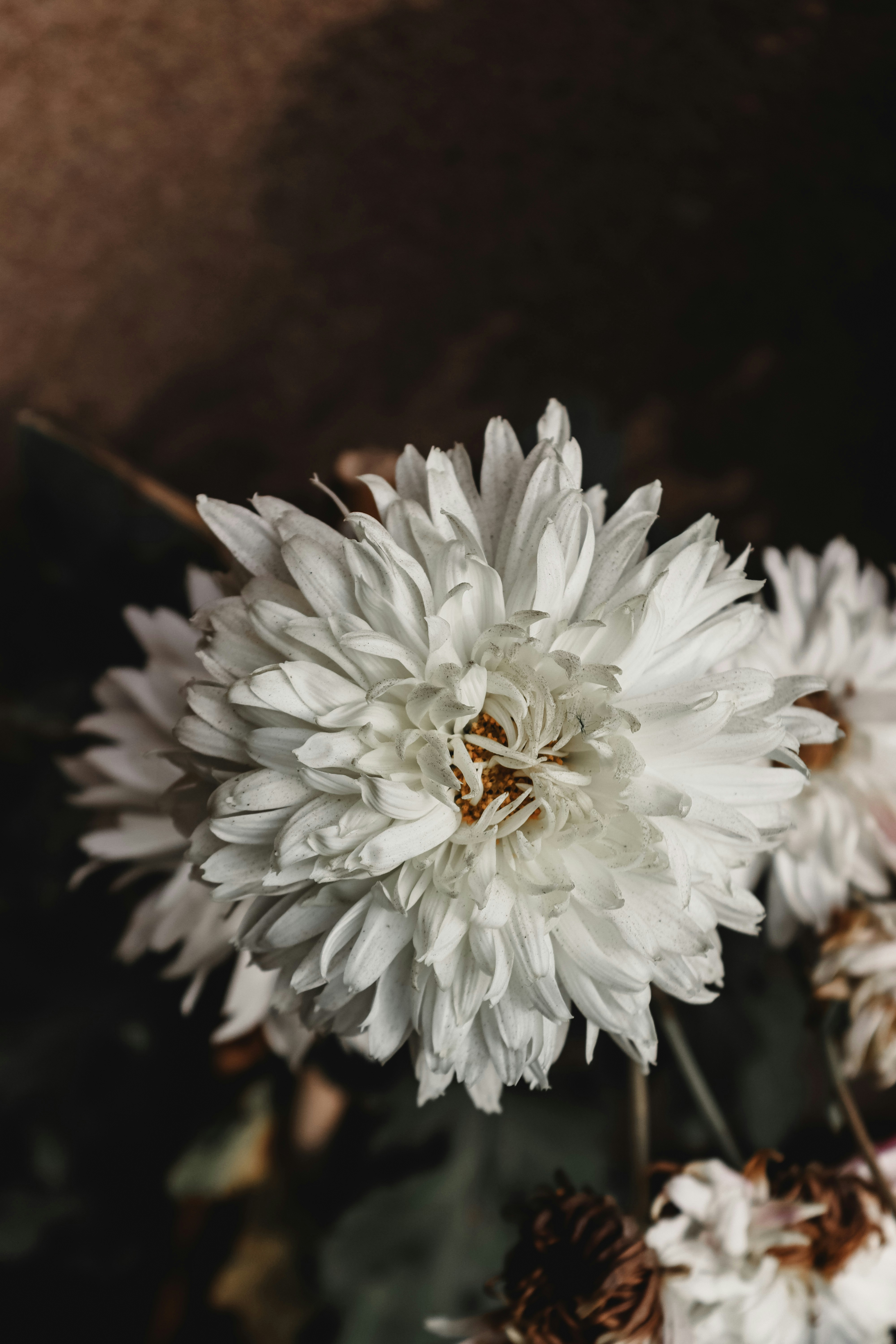 Photo by drphotographer152