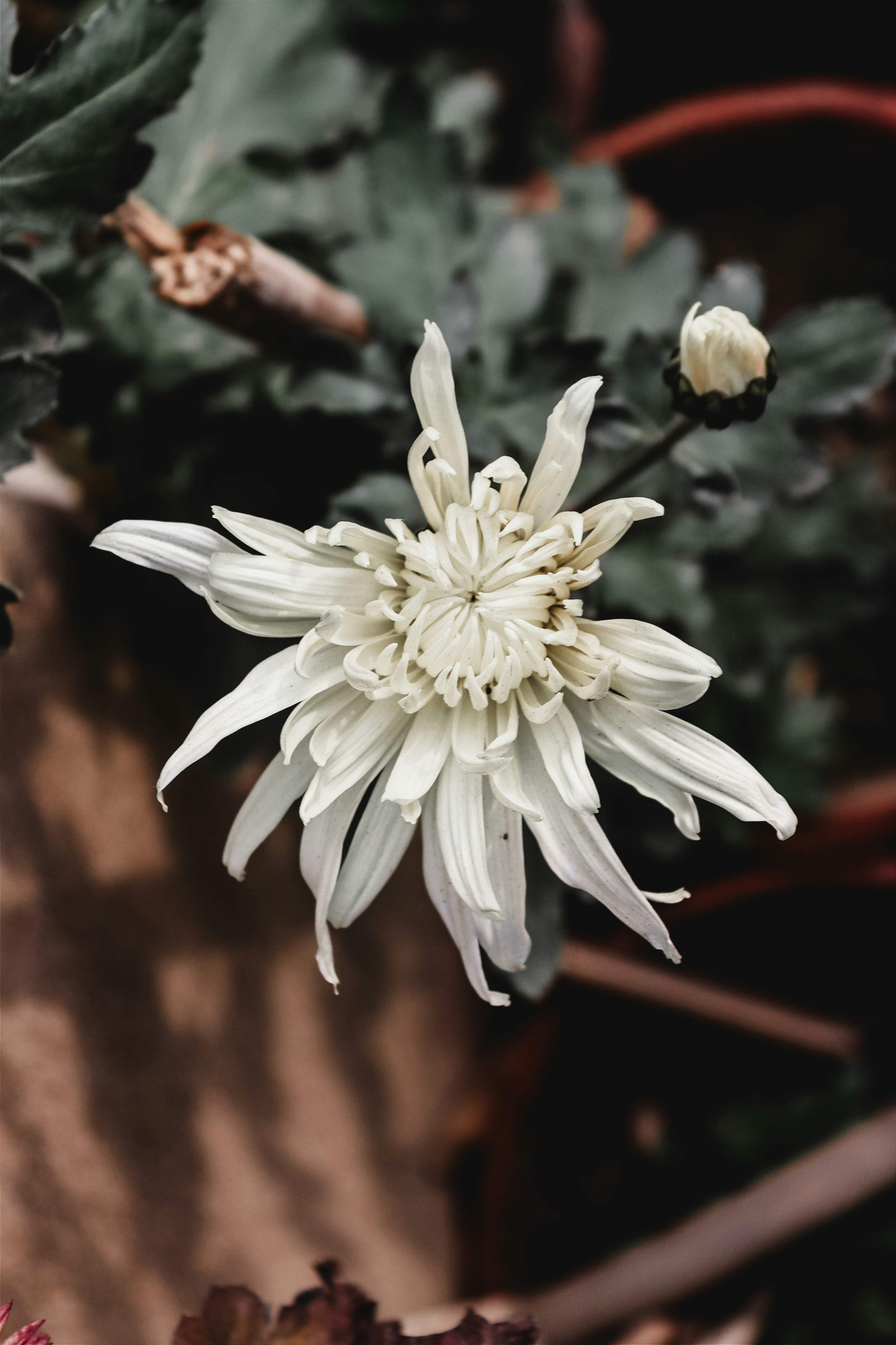 Photo by drphotographer152