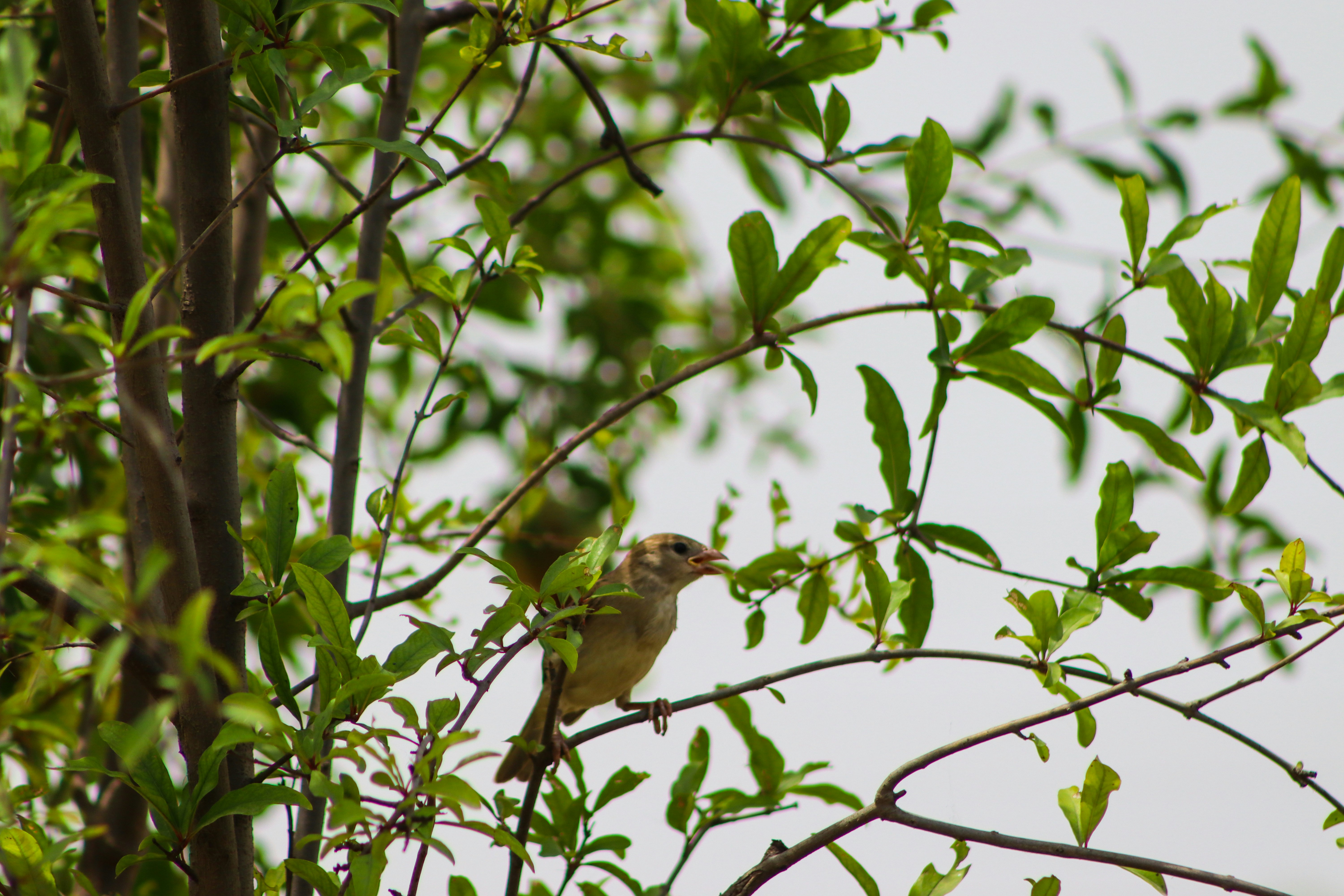 Photo by drphotographer152