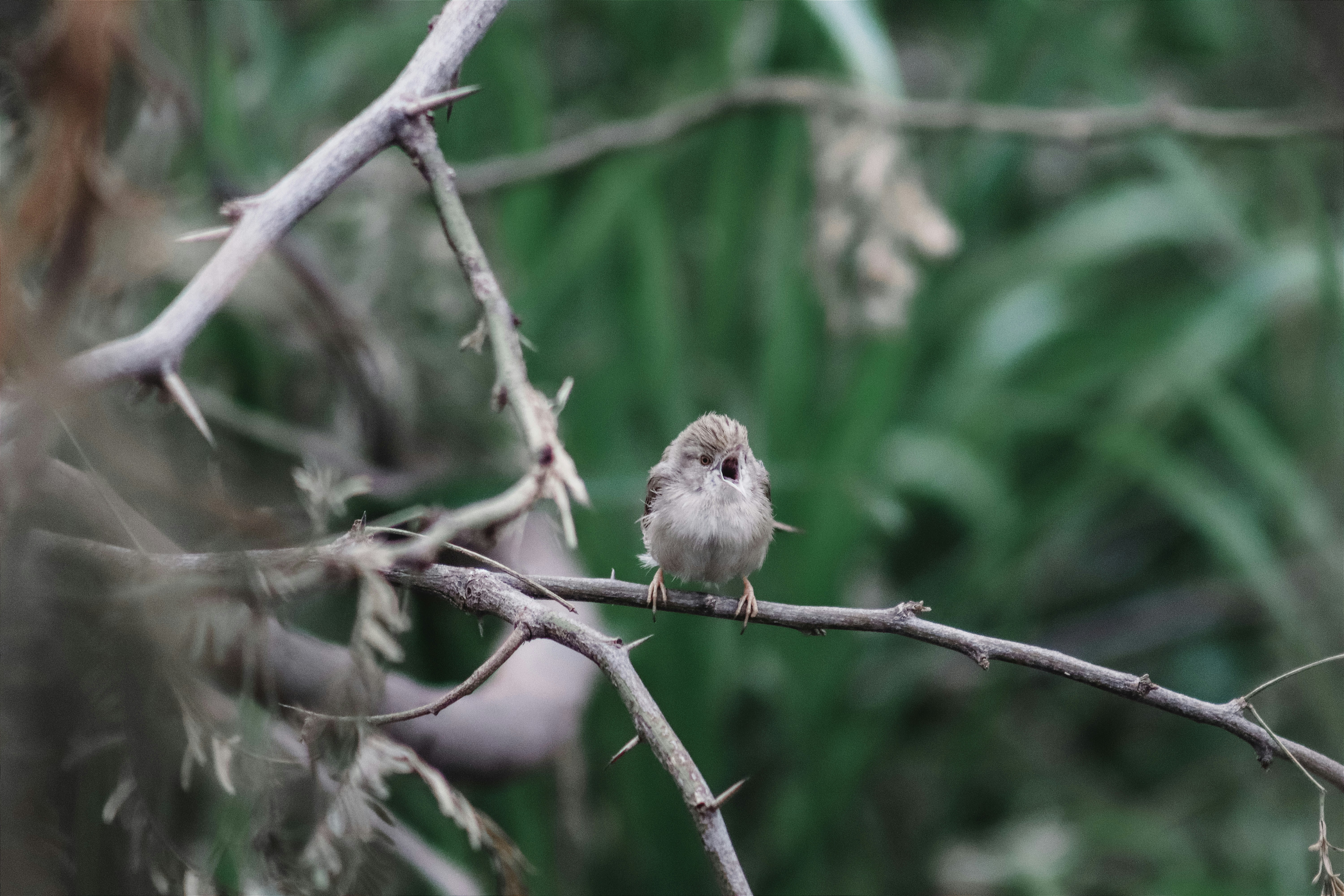 Photo by drphotographer152