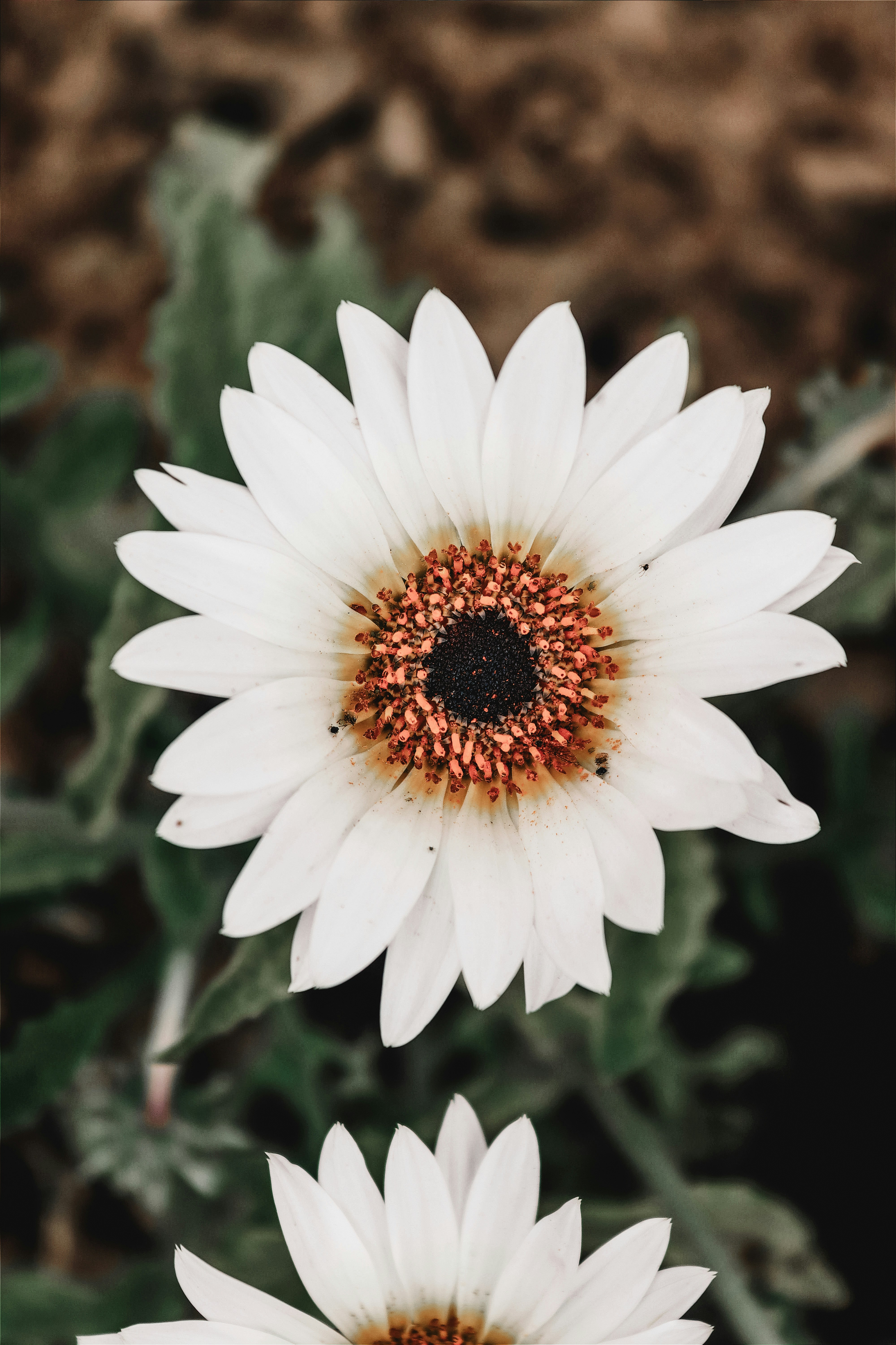 Photo by drphotographer152