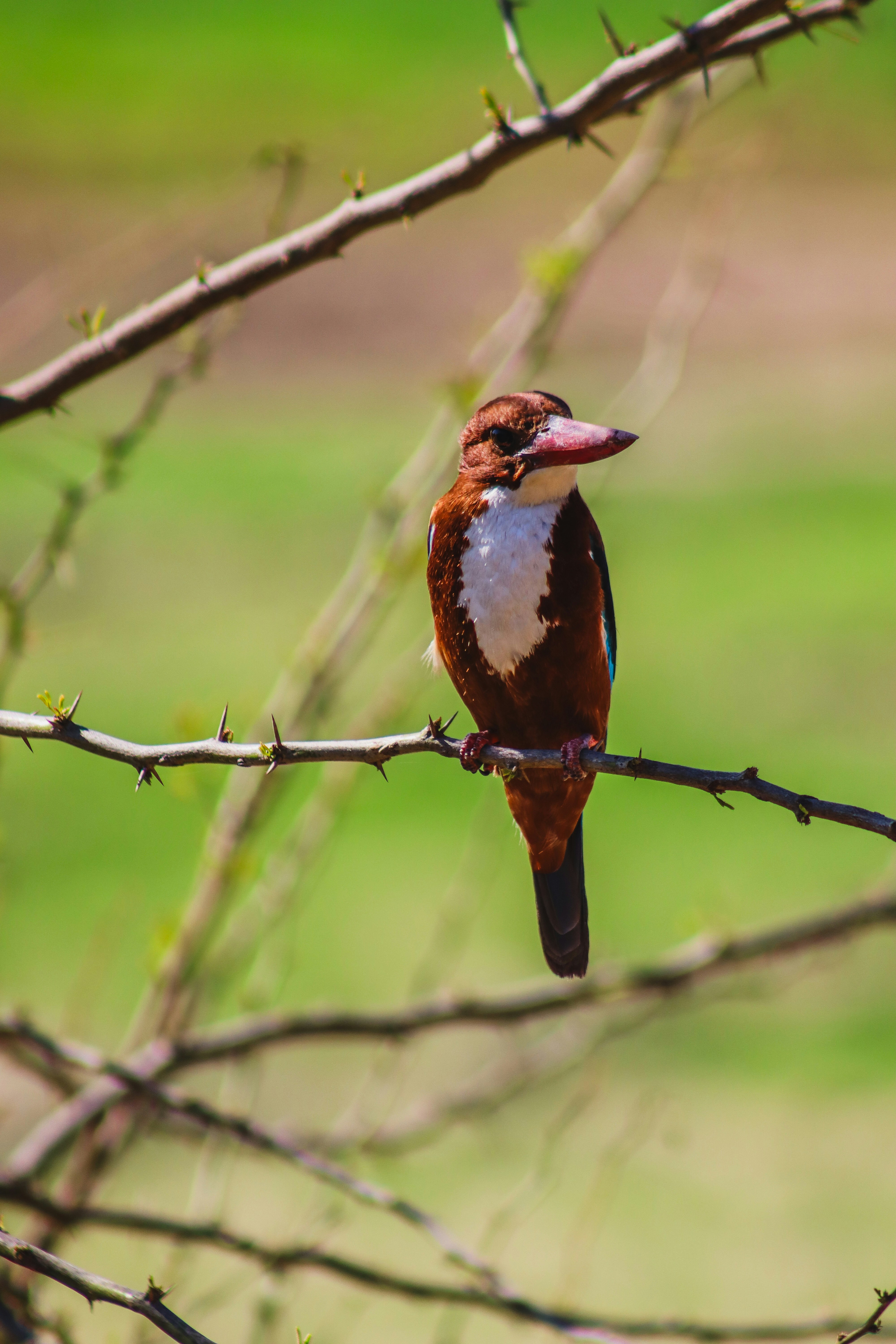 Photo by drphotographer152