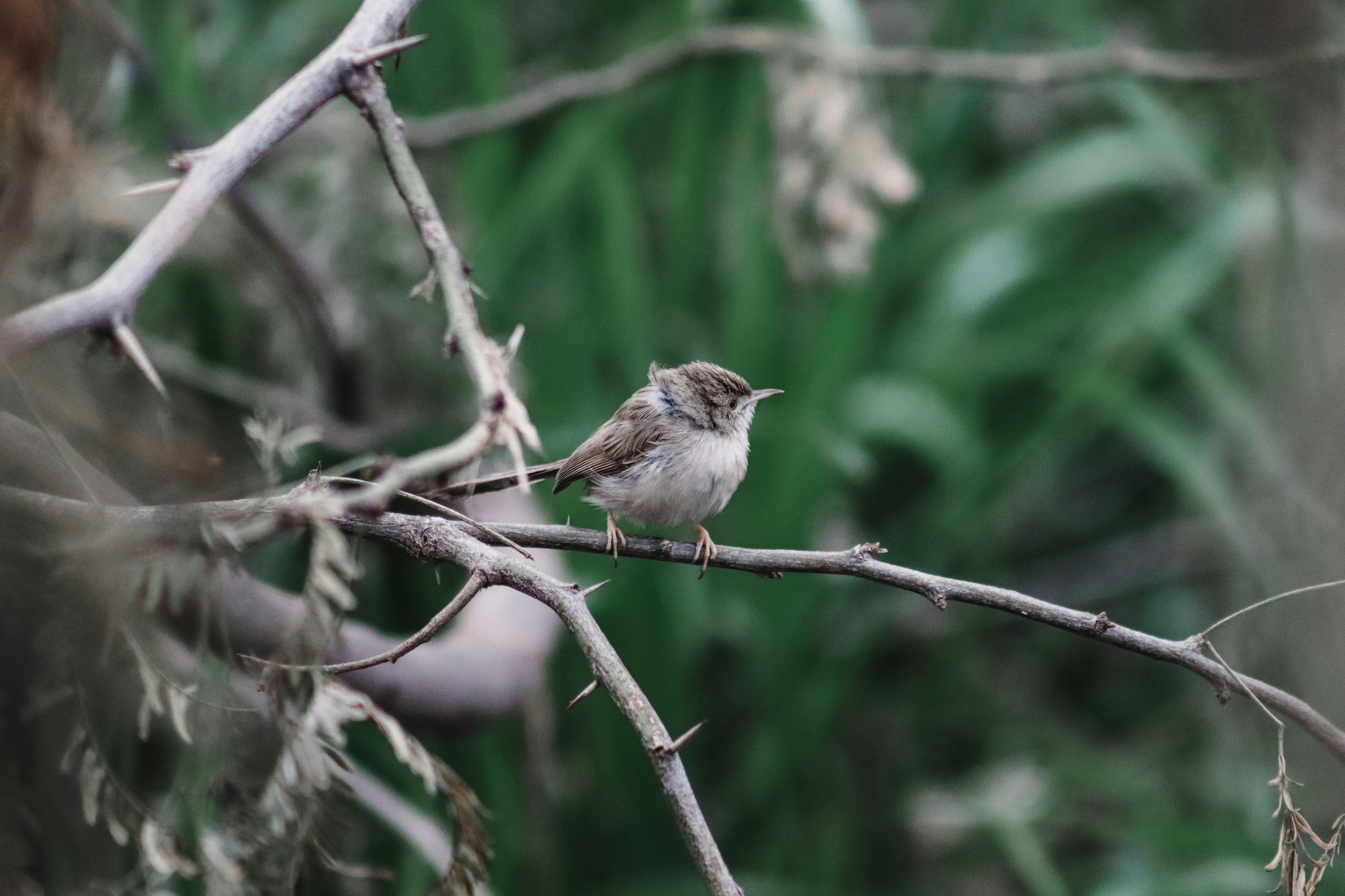 Photo by drphotographer152