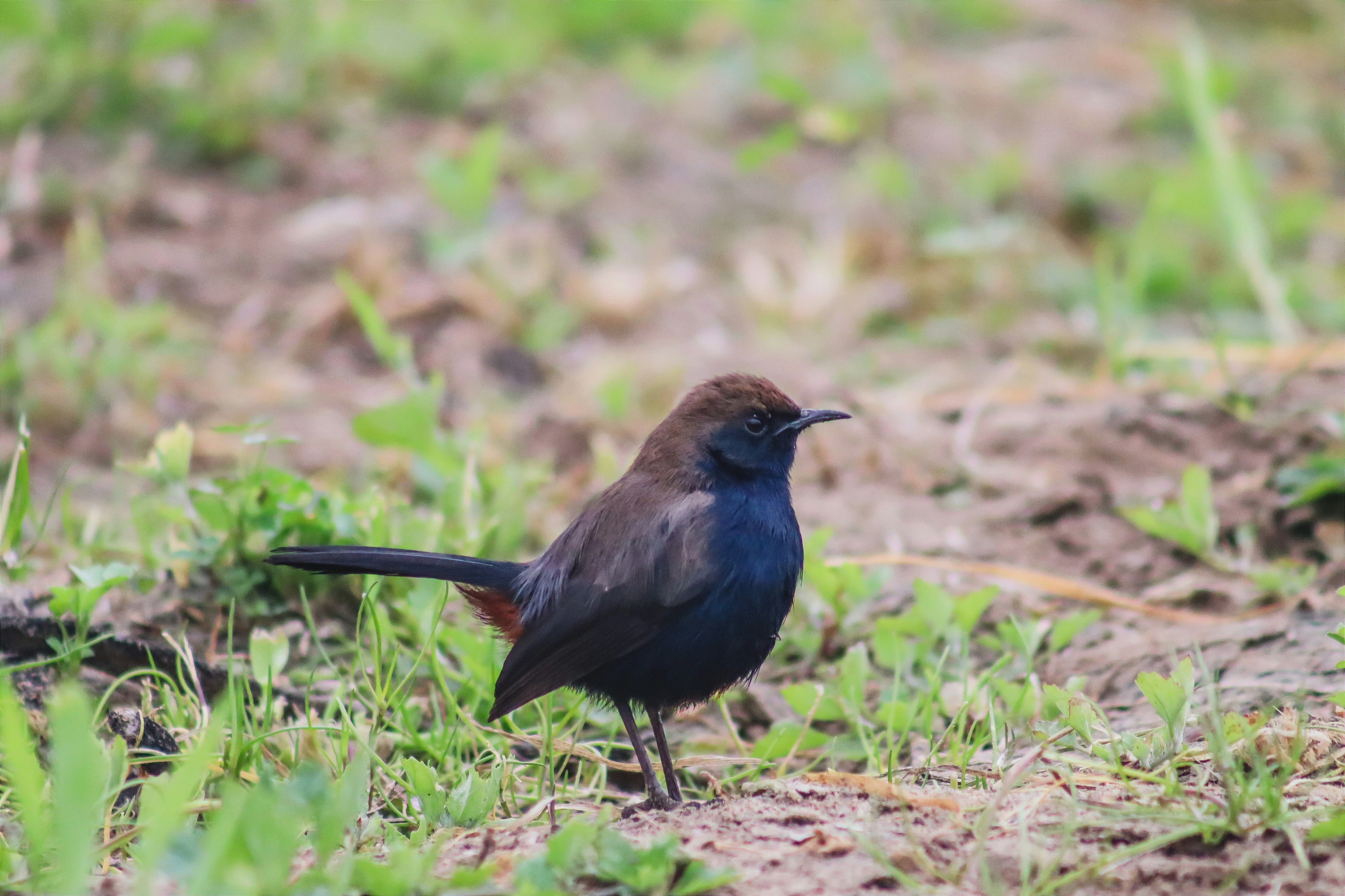 Photo by drphotographer152