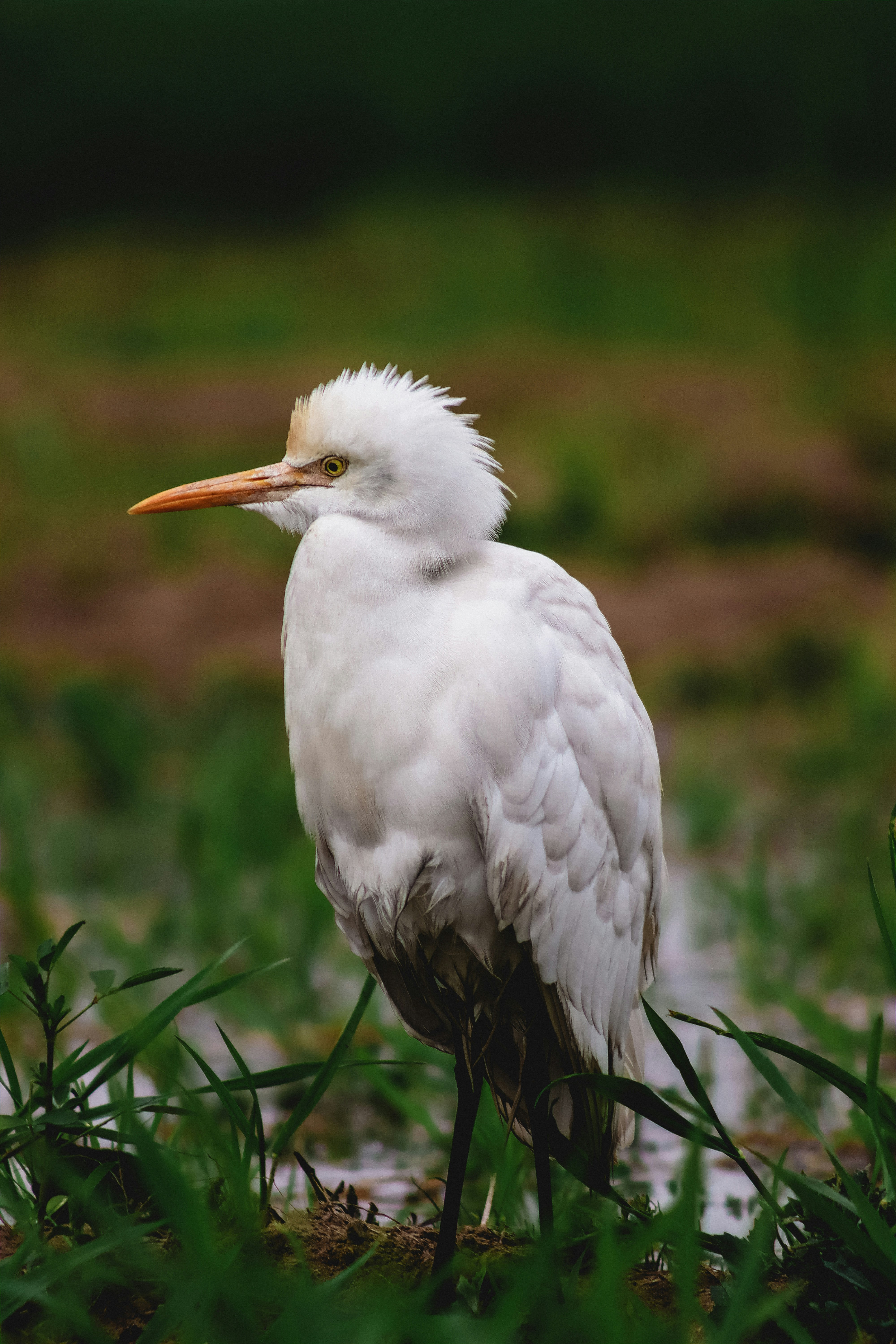 Photo by drphotographer152