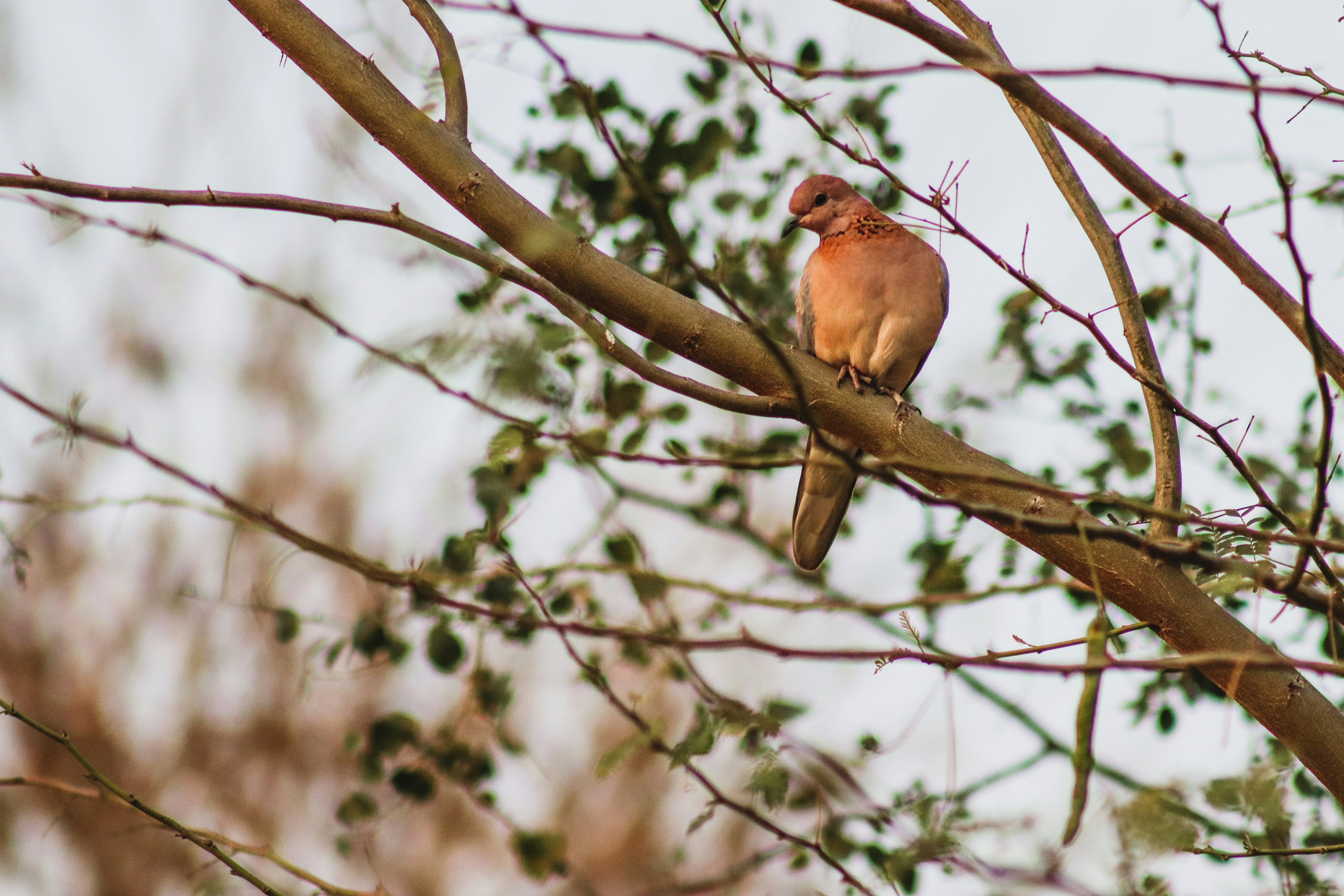 Photo by drphotographer152