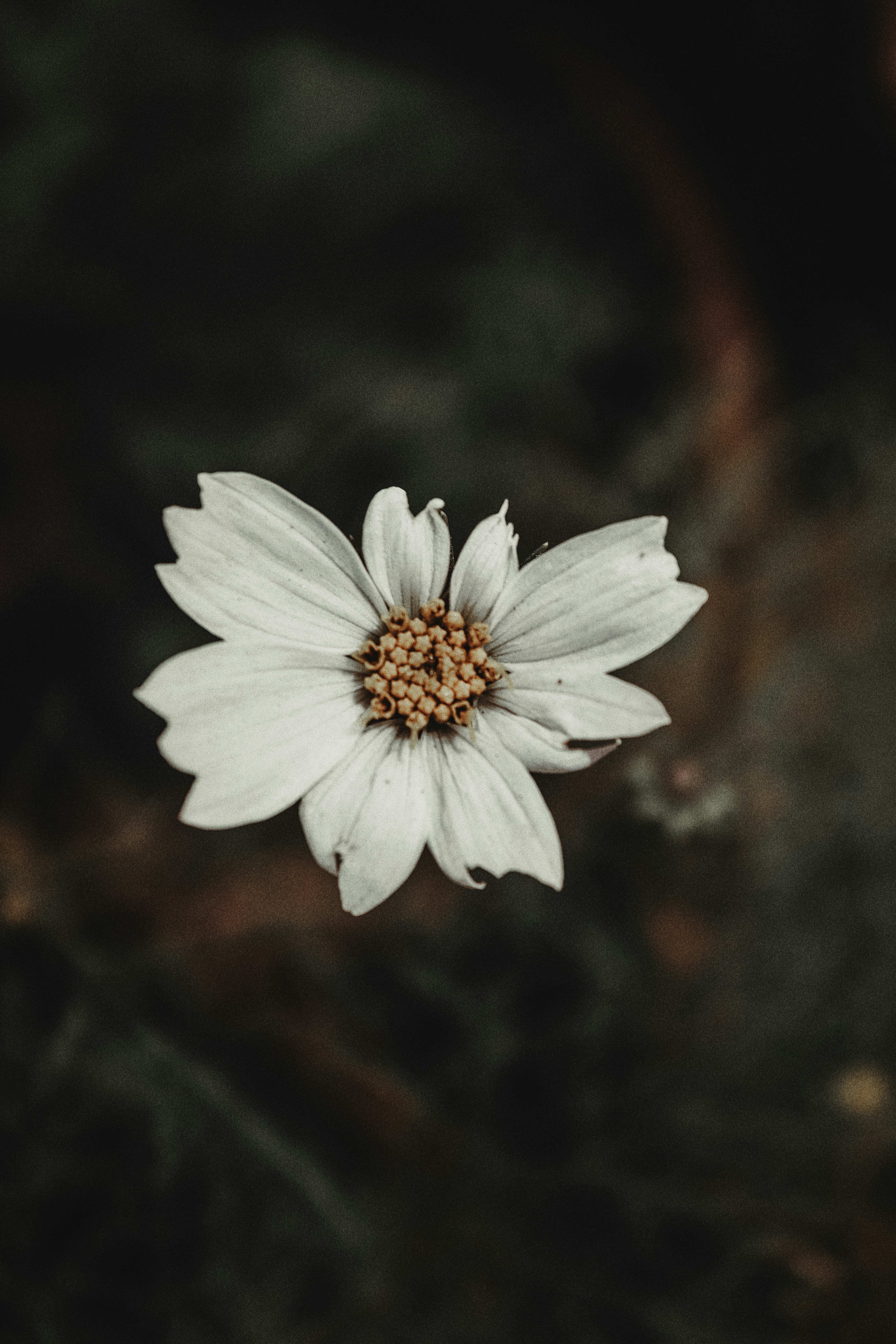 Photo by drphotographer152