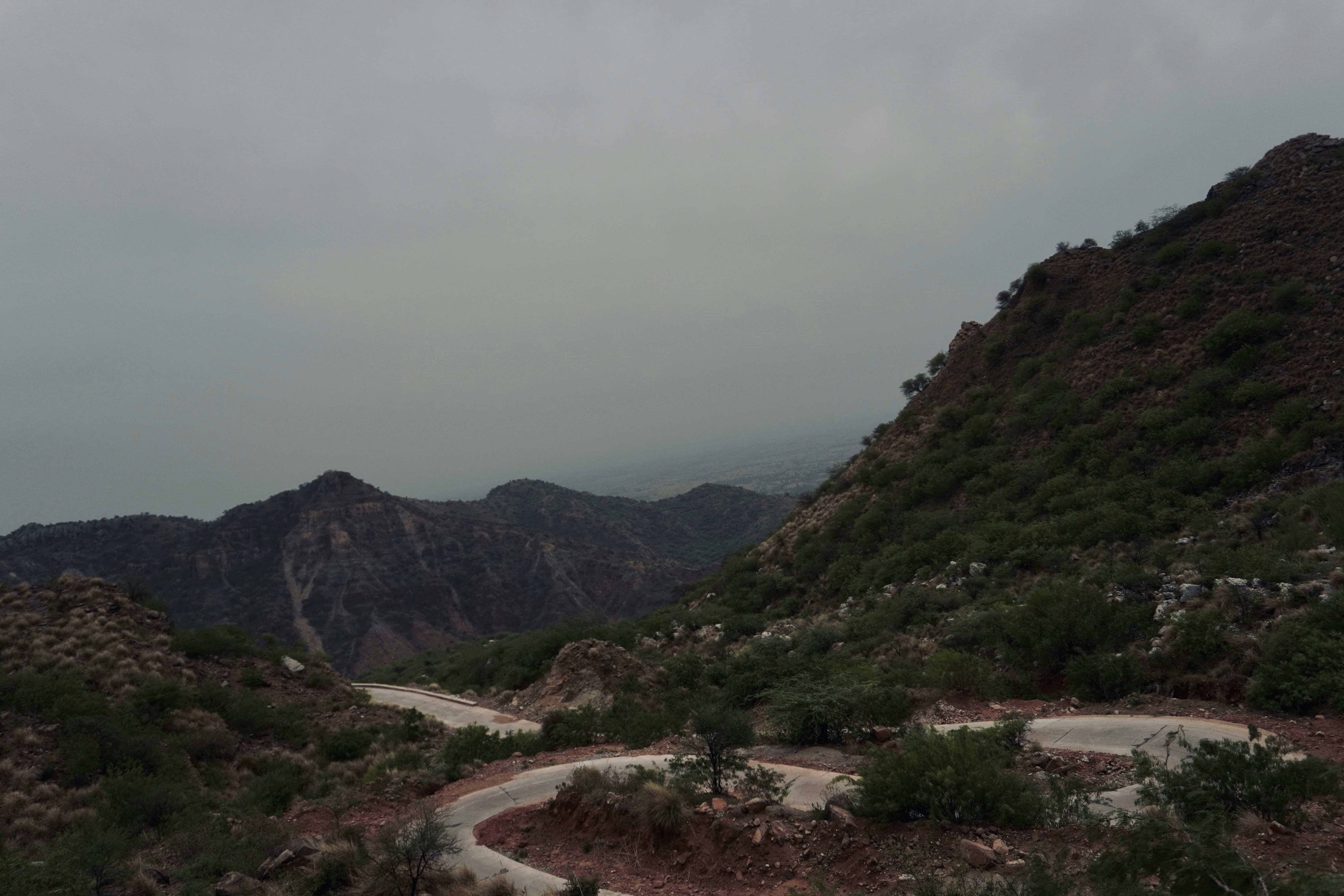 Photo by zeesha_clicks