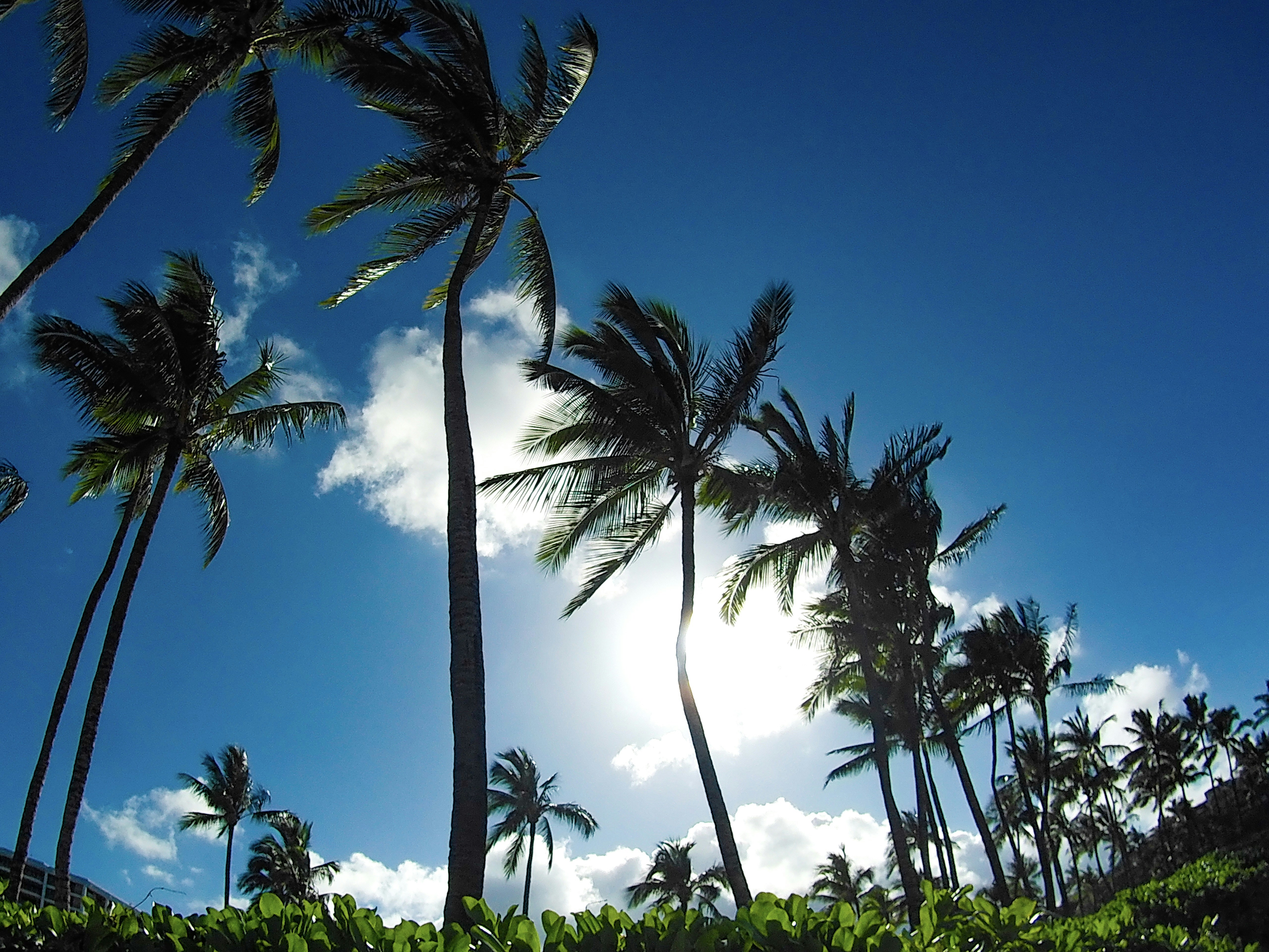 Photo by samueljames16