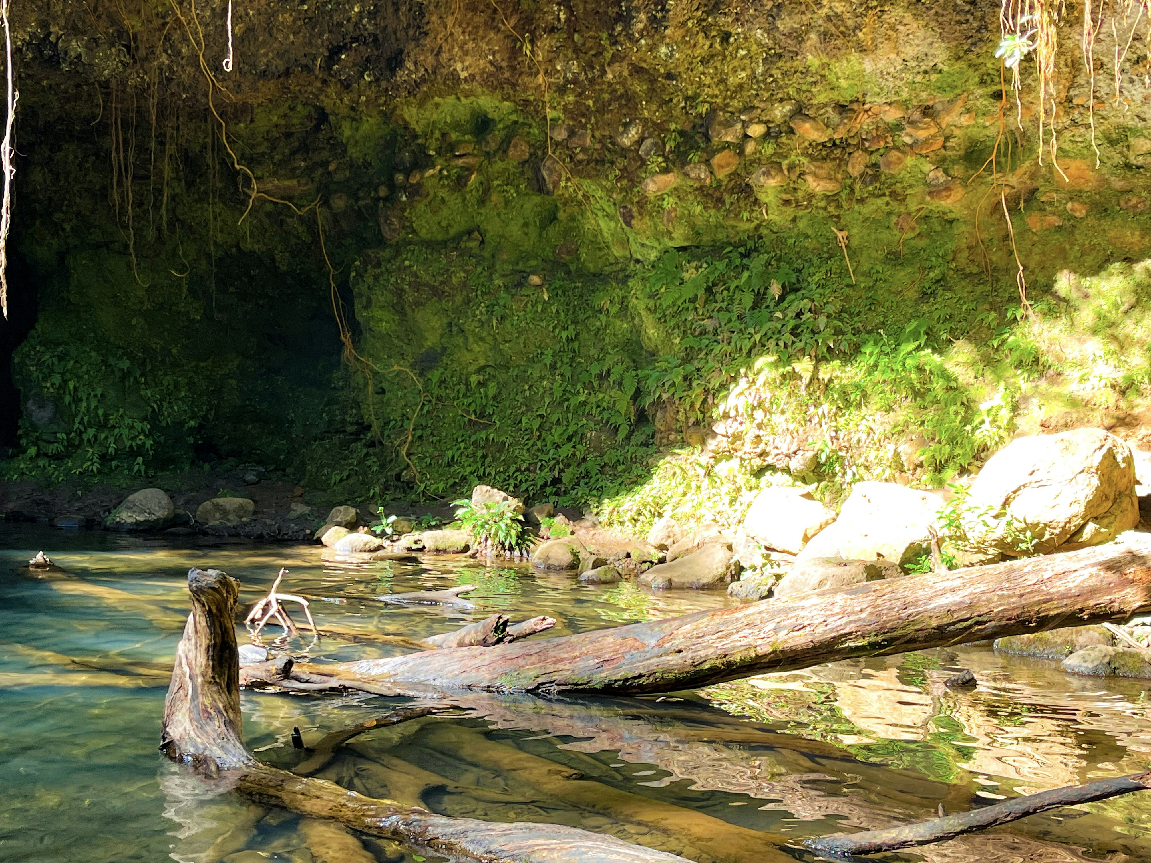 Photo by samueljames16