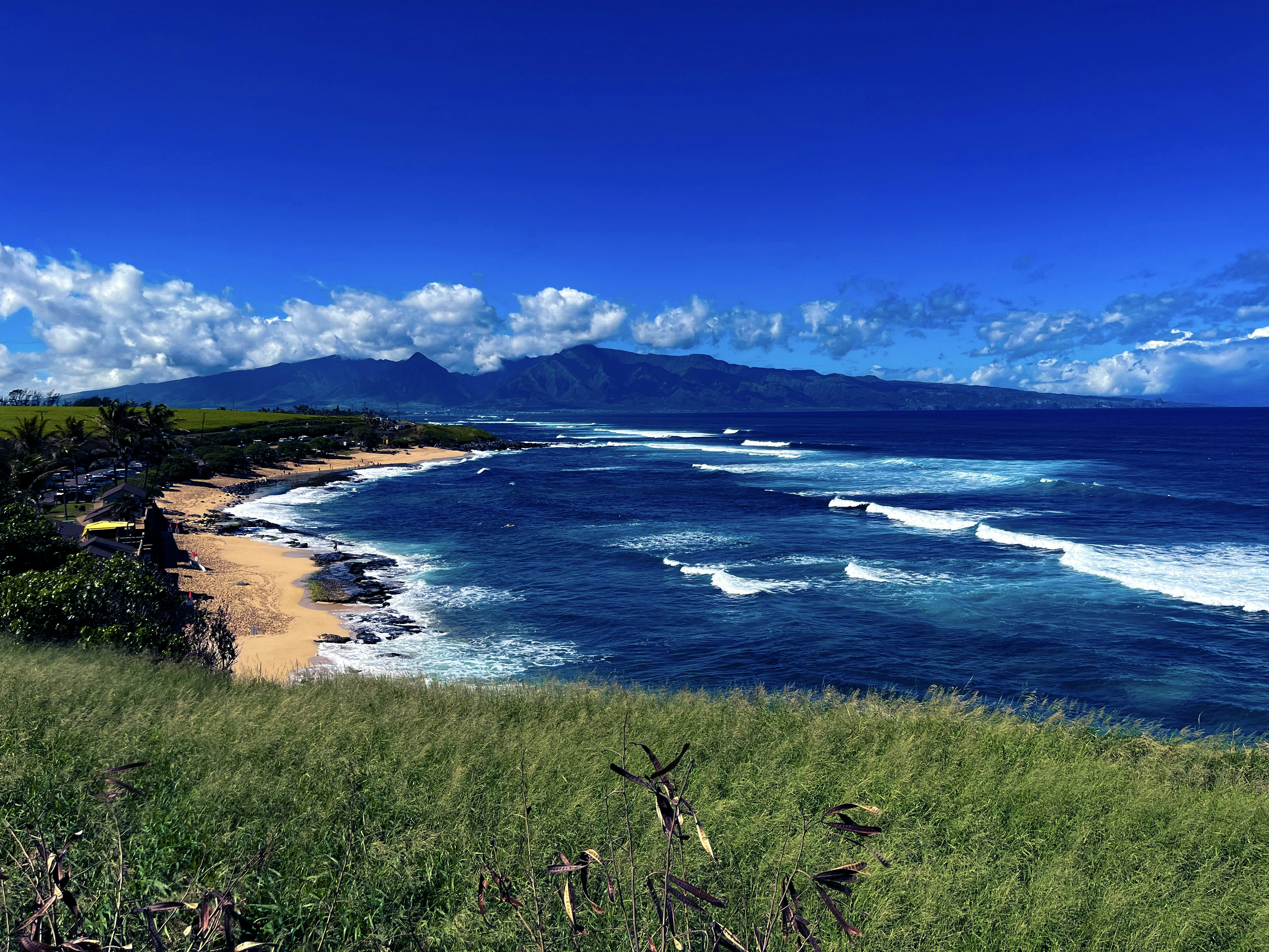 Photo by samueljames16