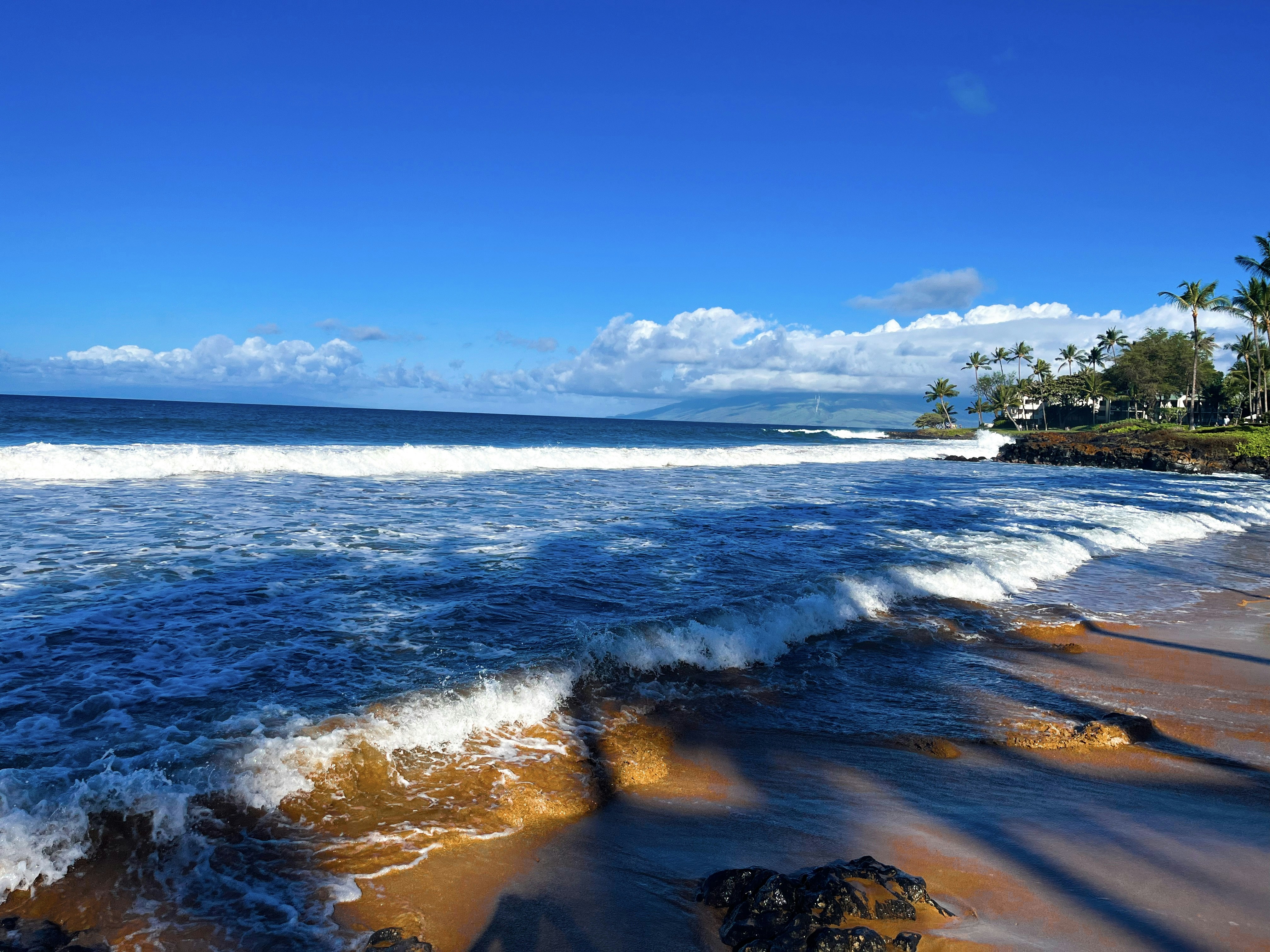 Photo by samueljames16