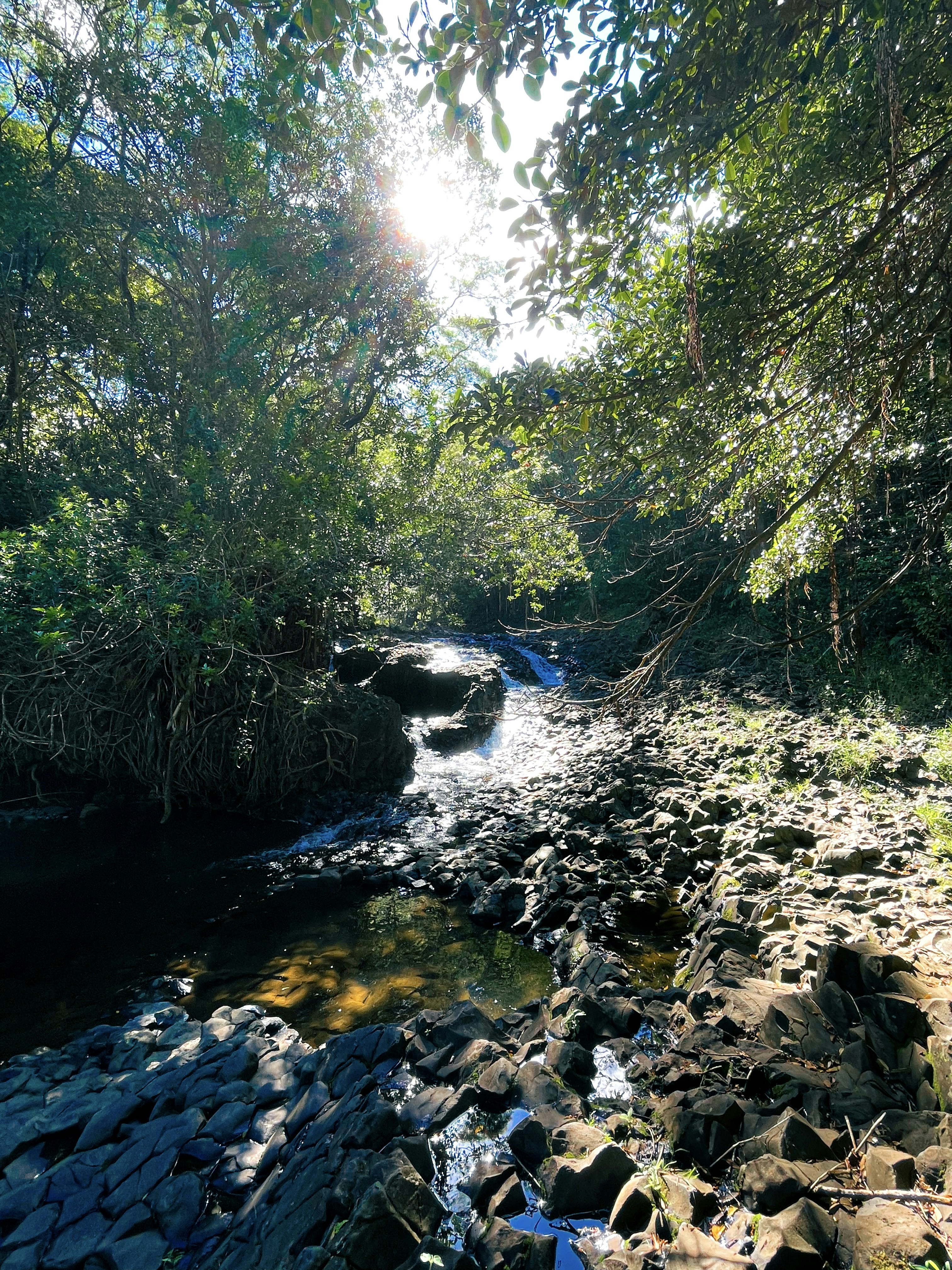 Photo by samueljames16