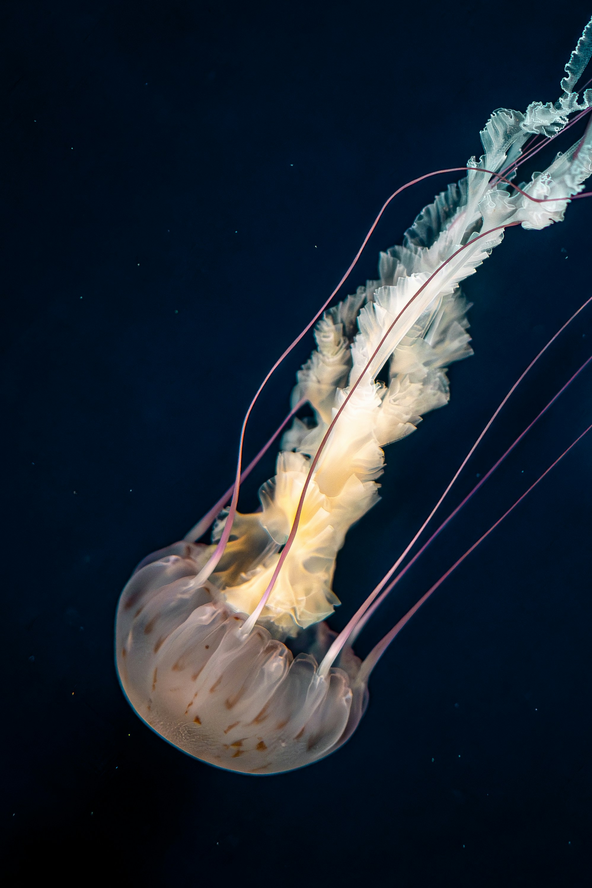 Photo by ernest_imoesi