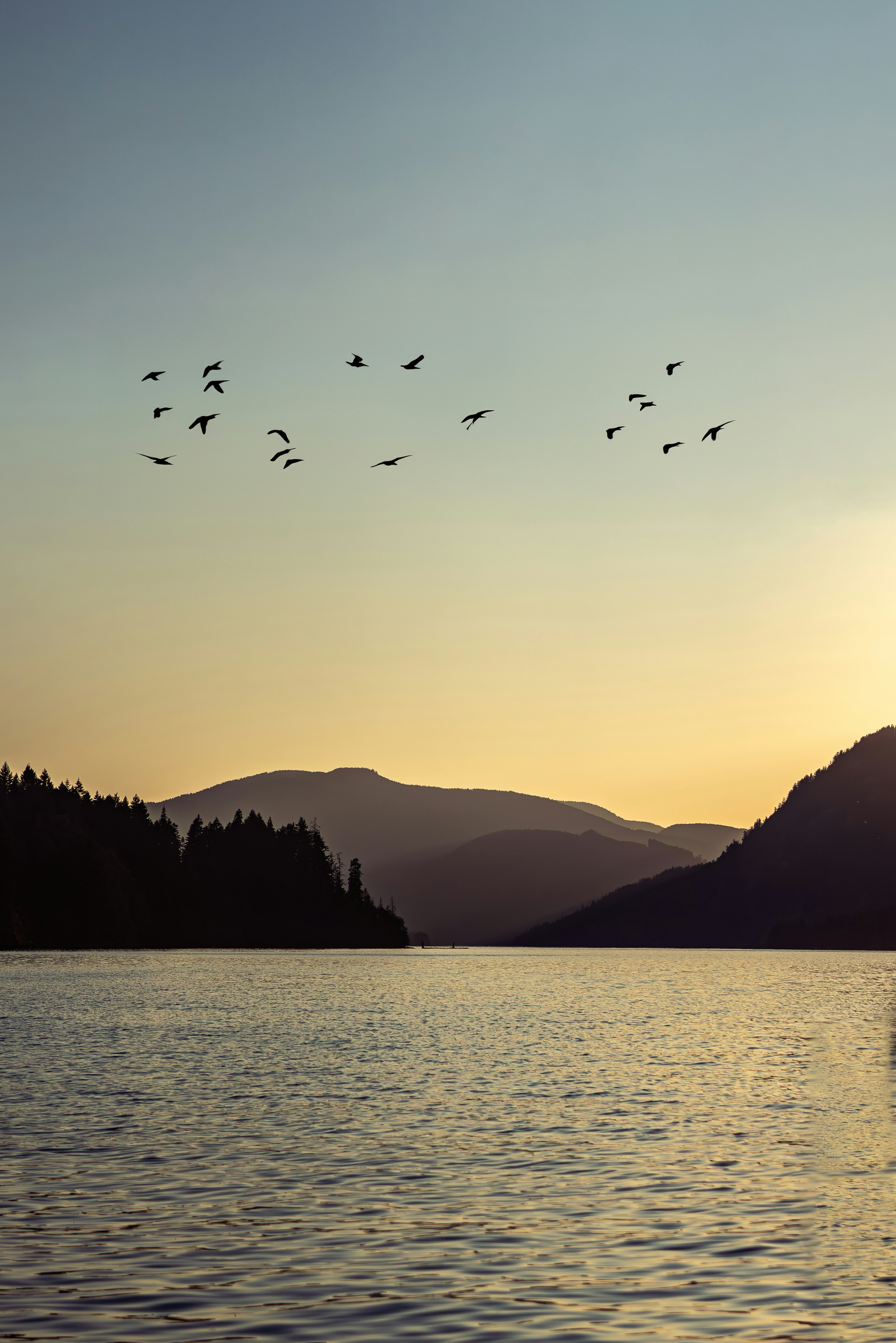 Photo by ernest_imoesi