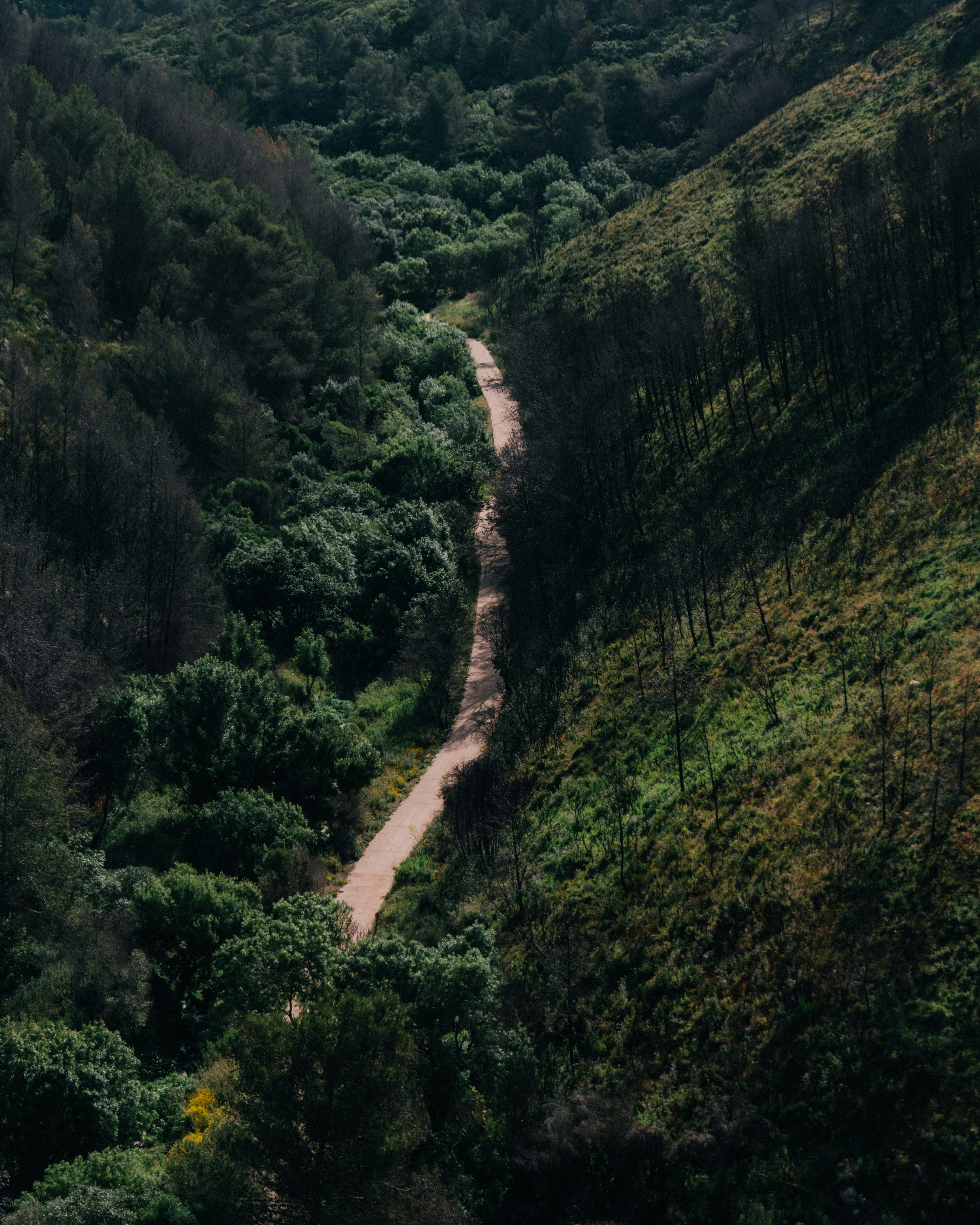 Photo by snapshot_journey