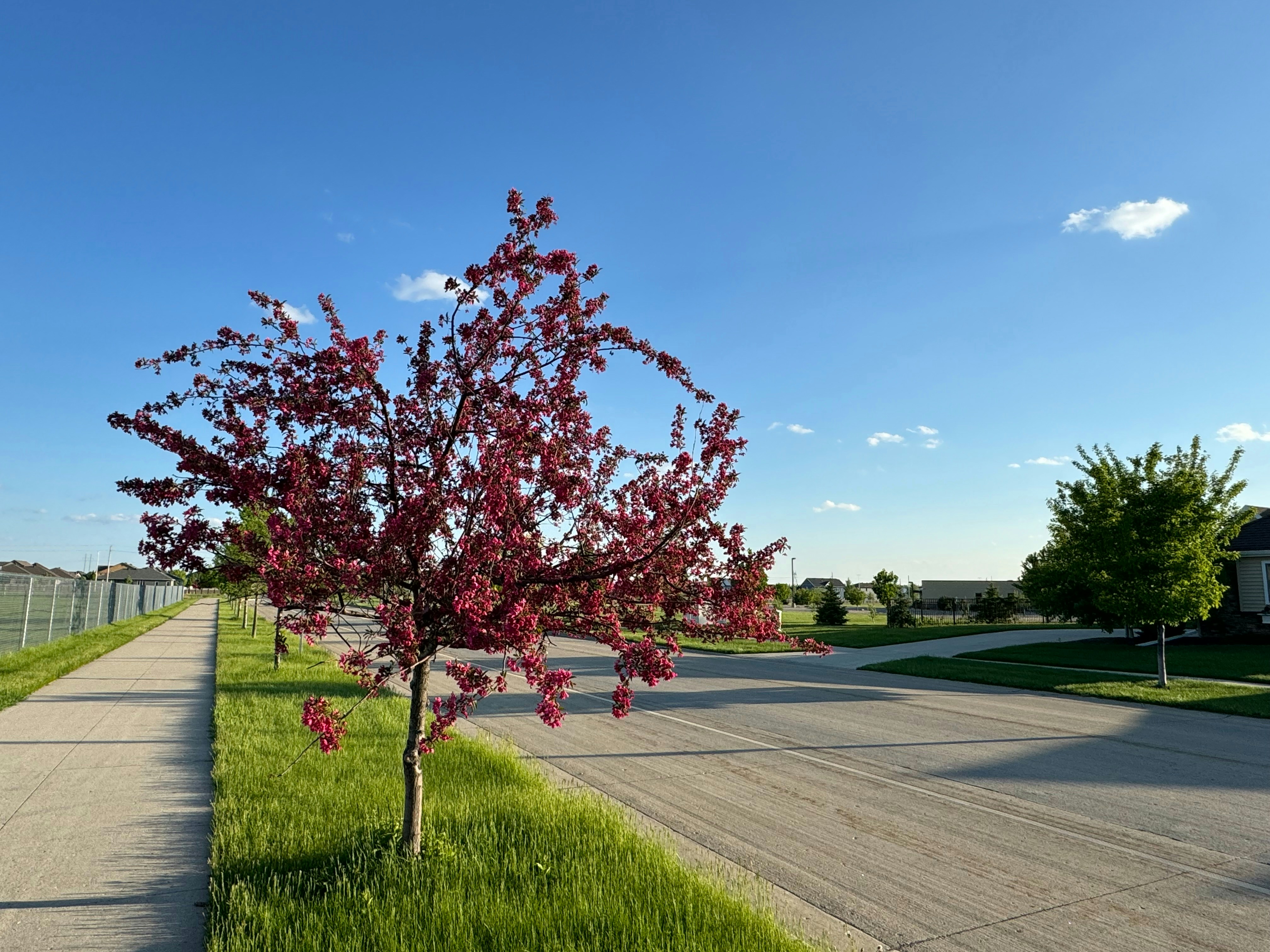 Skyview Park