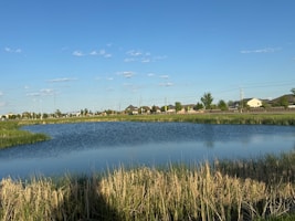 a lake surrounded by tall grass and houses