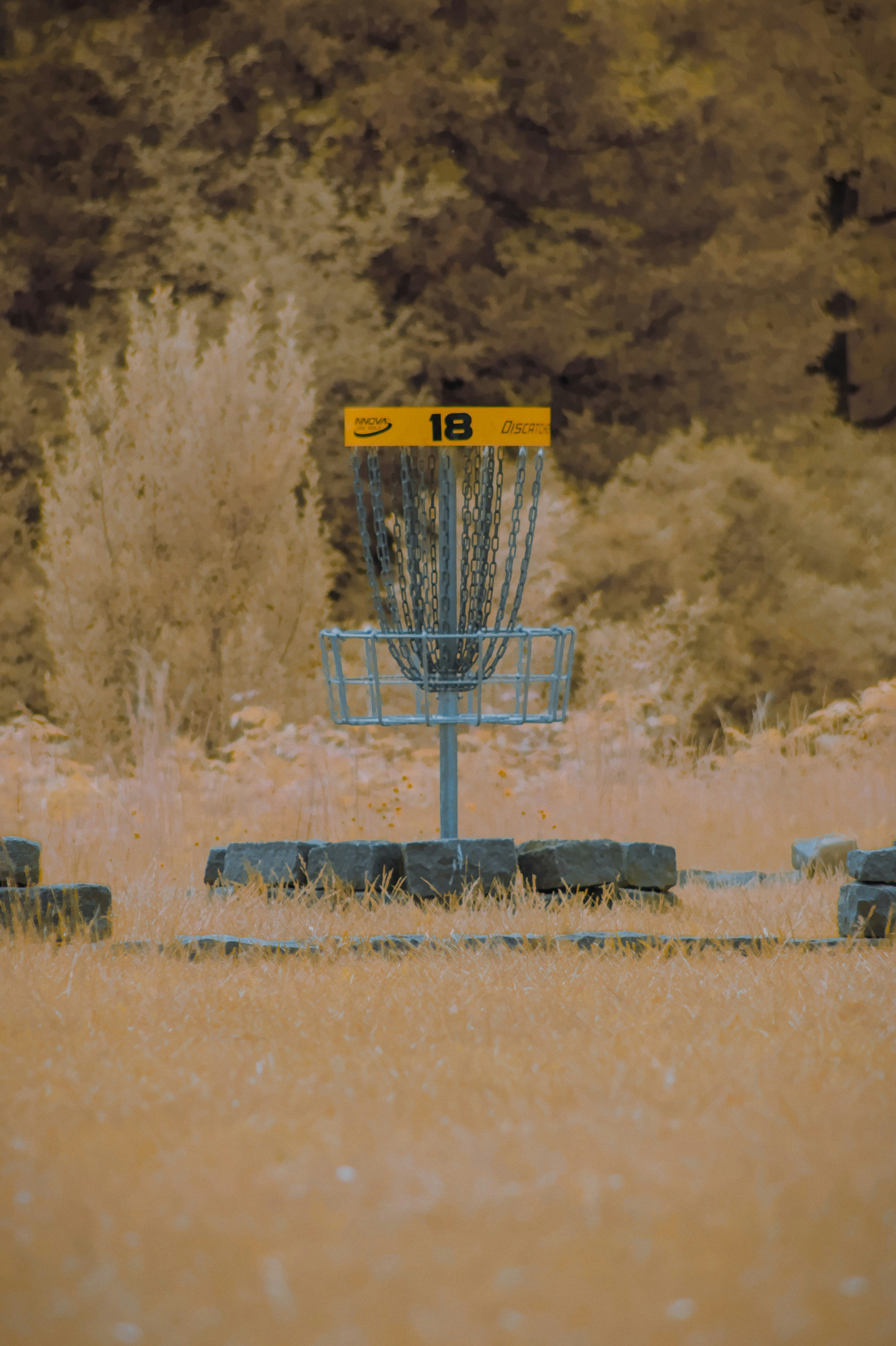 a frisbee golf hole in a field with trees in the background