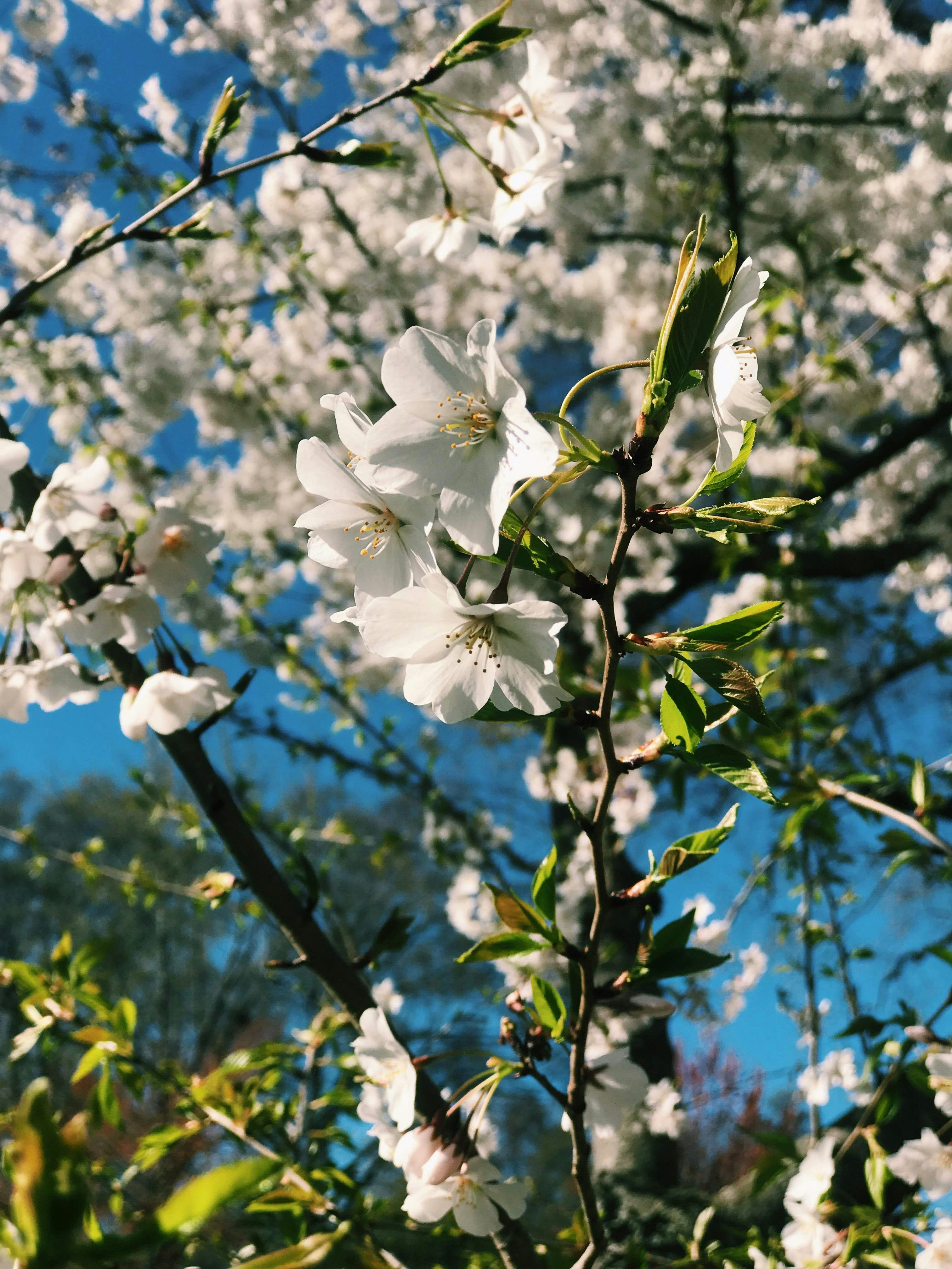 Photo by courtneypickens