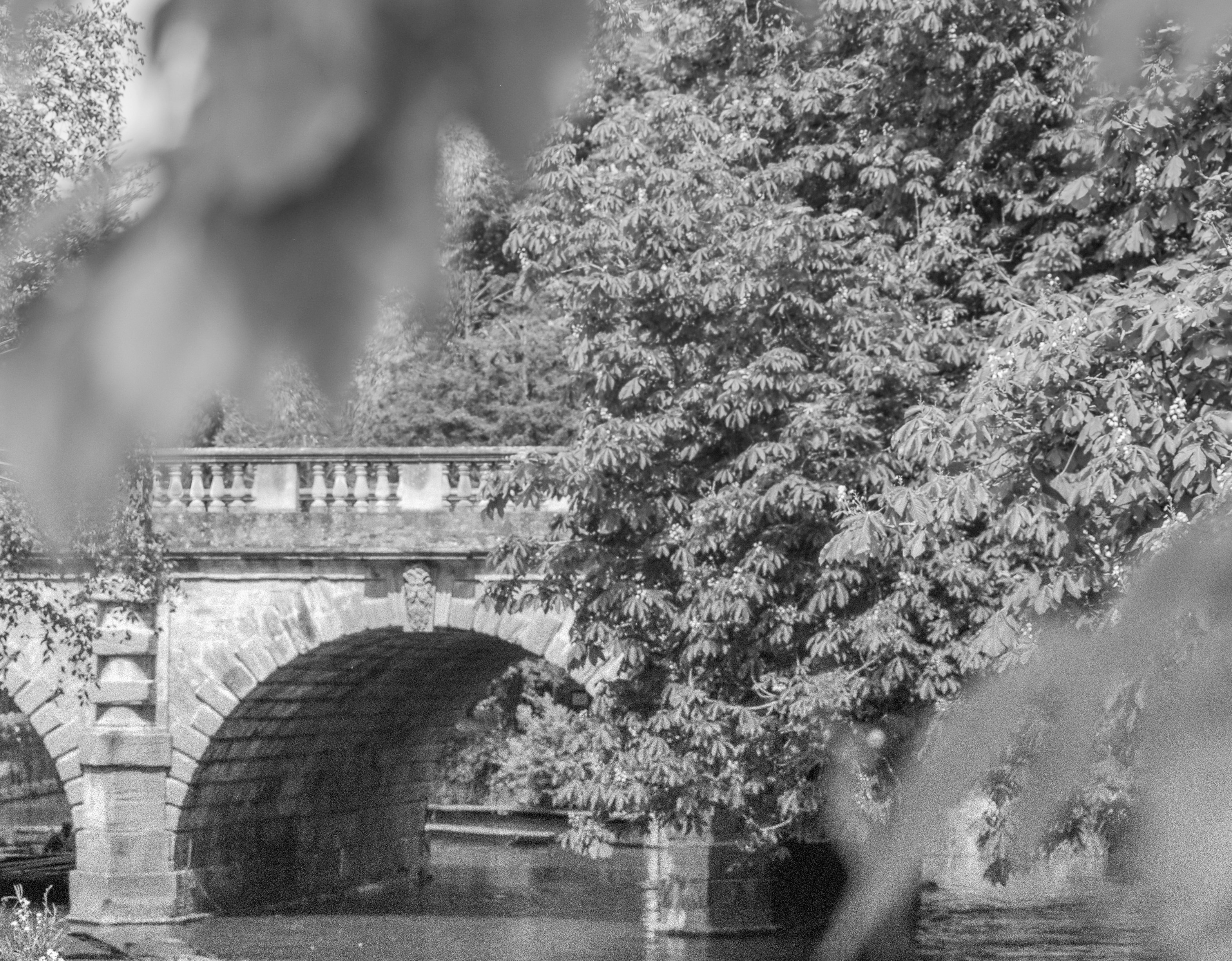 Photo by humansmadethis