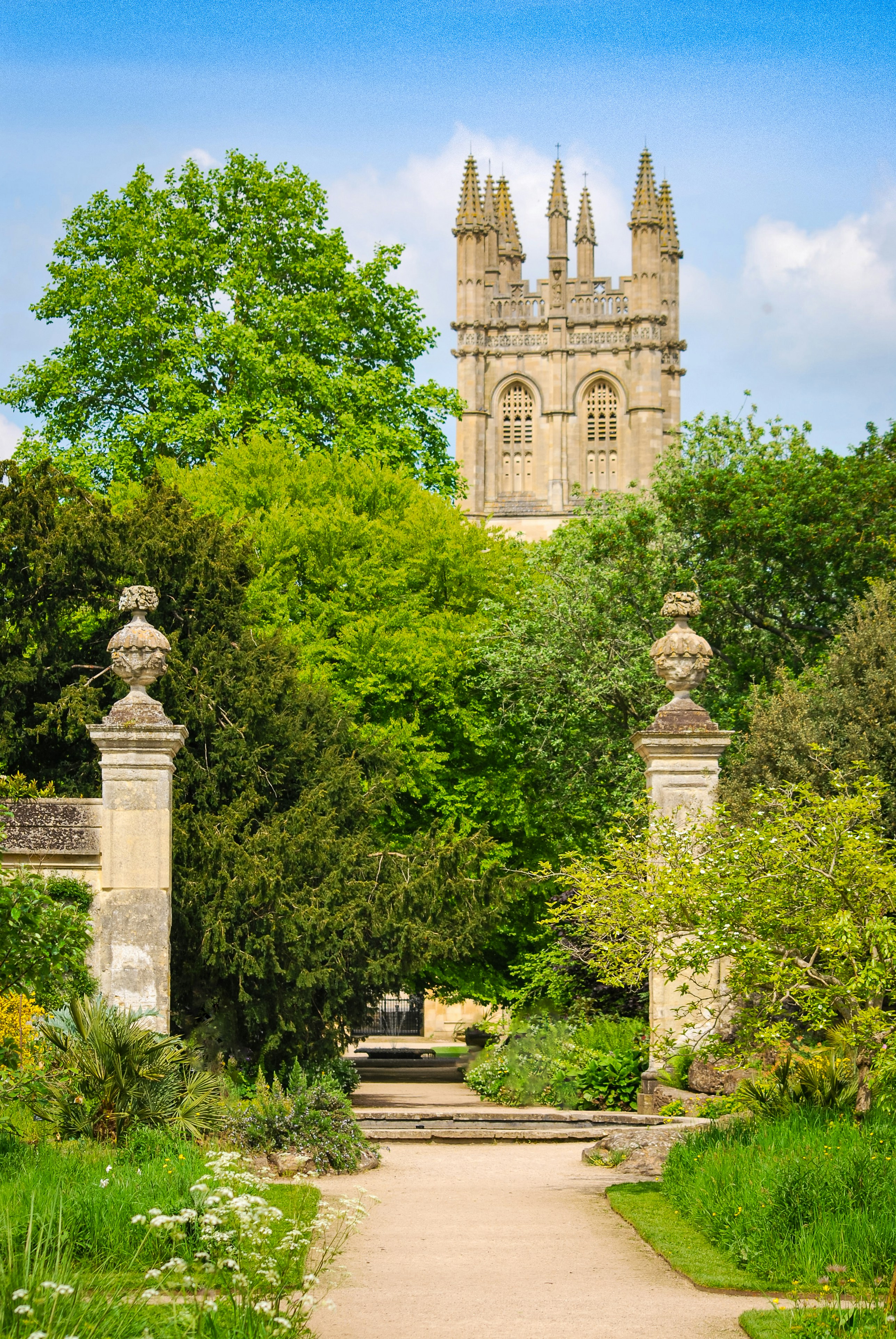 Photo by humansmadethis