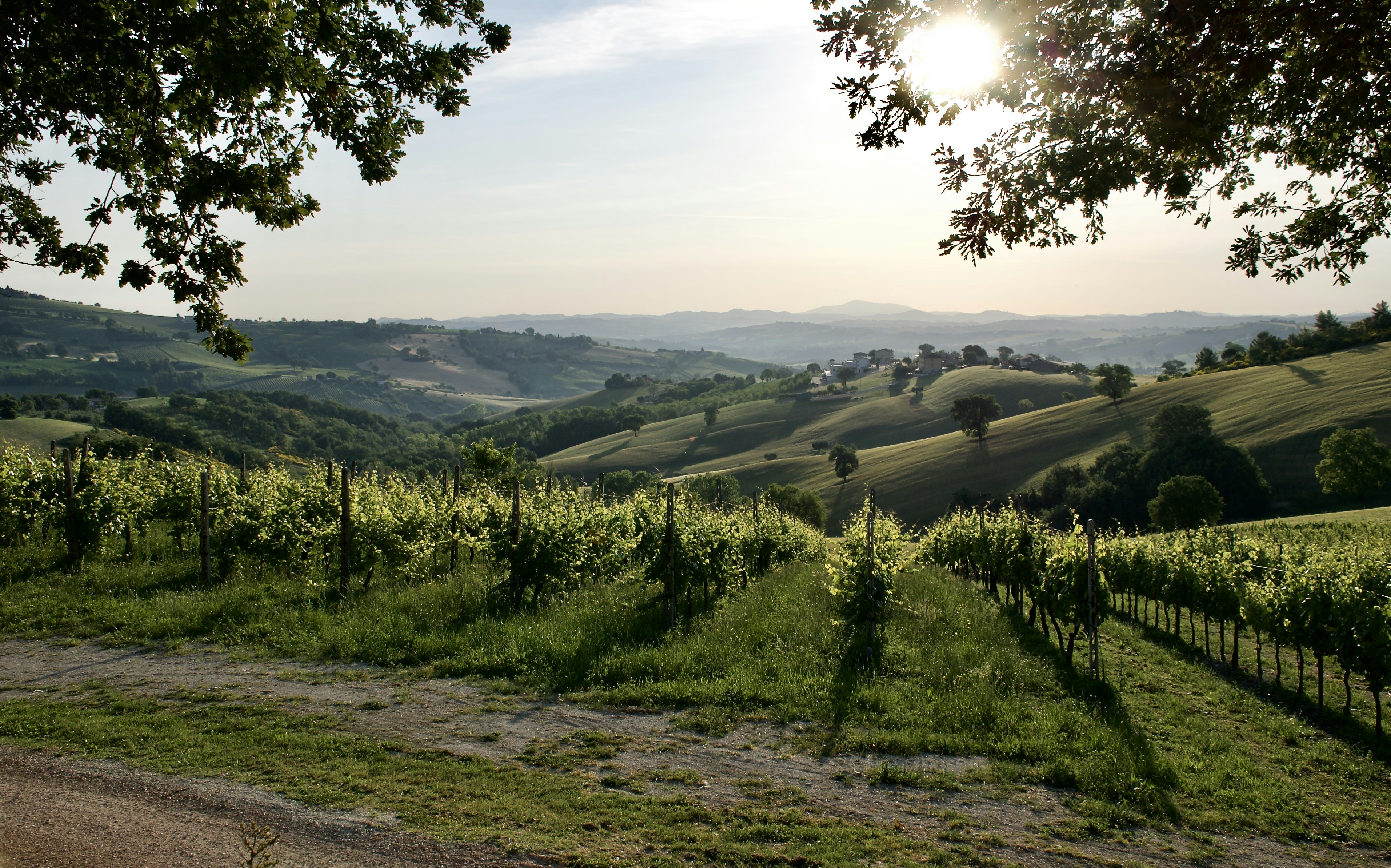 Photo by mariobeducci