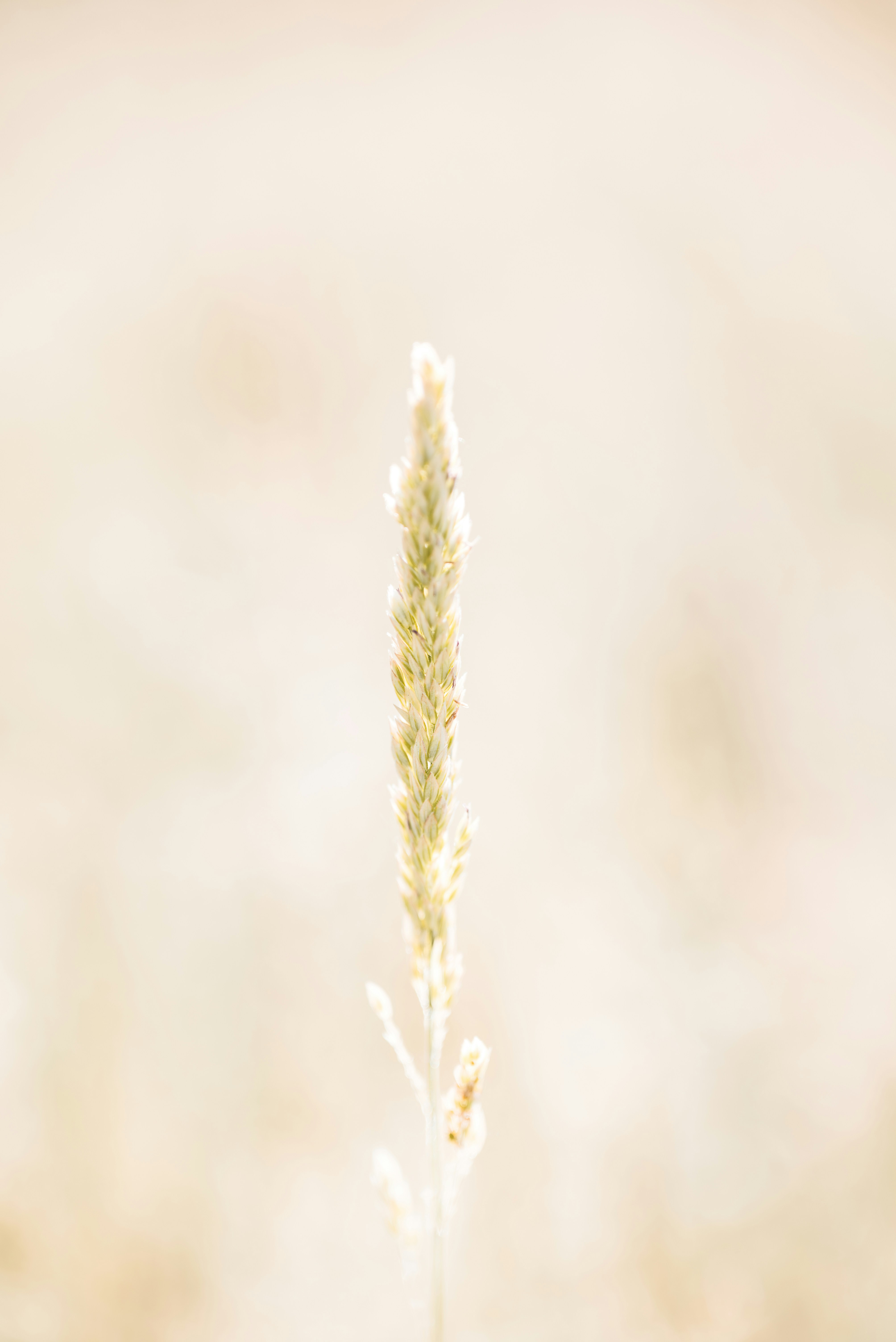 Photo by jetztabertempo