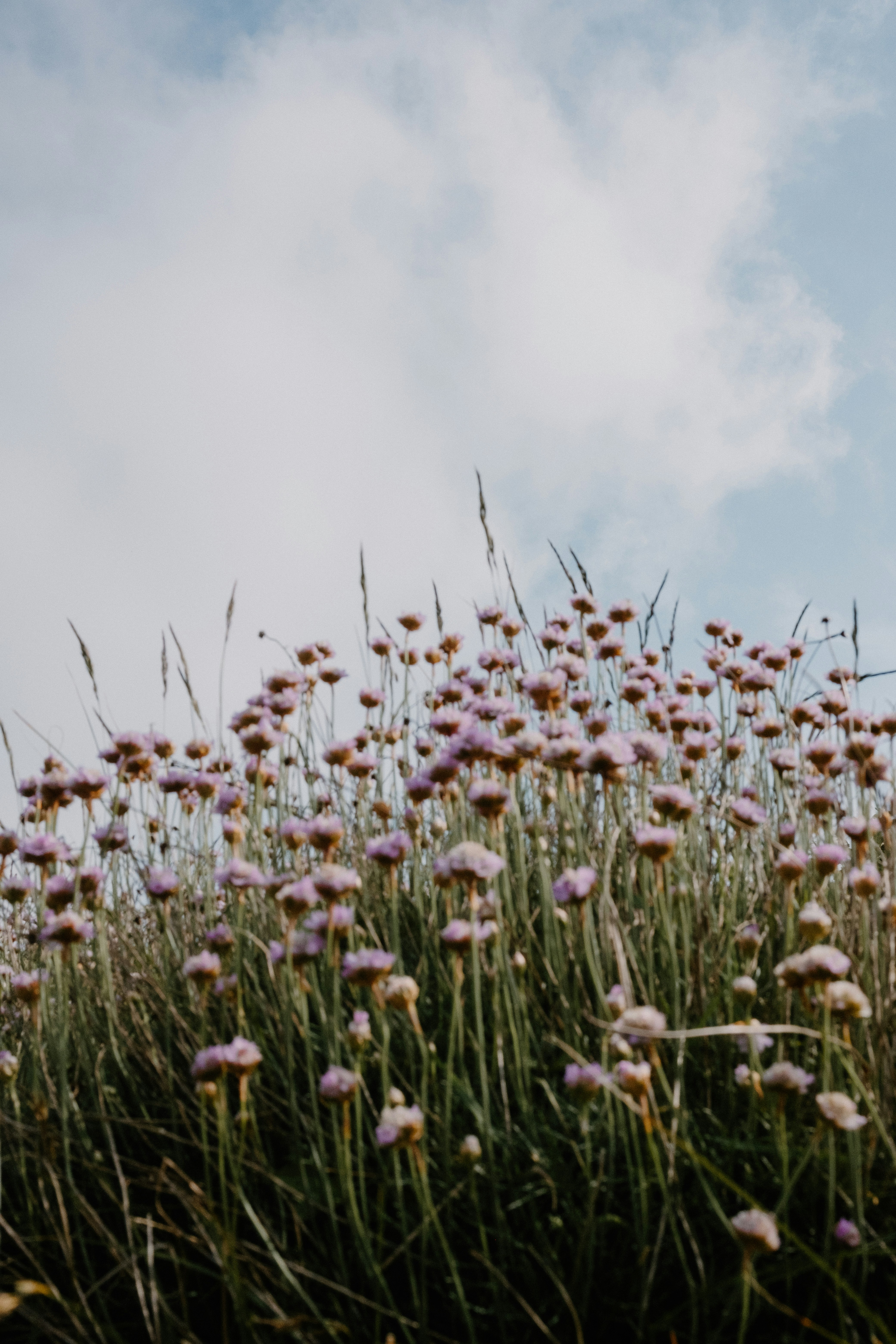 Photo by anniespratt