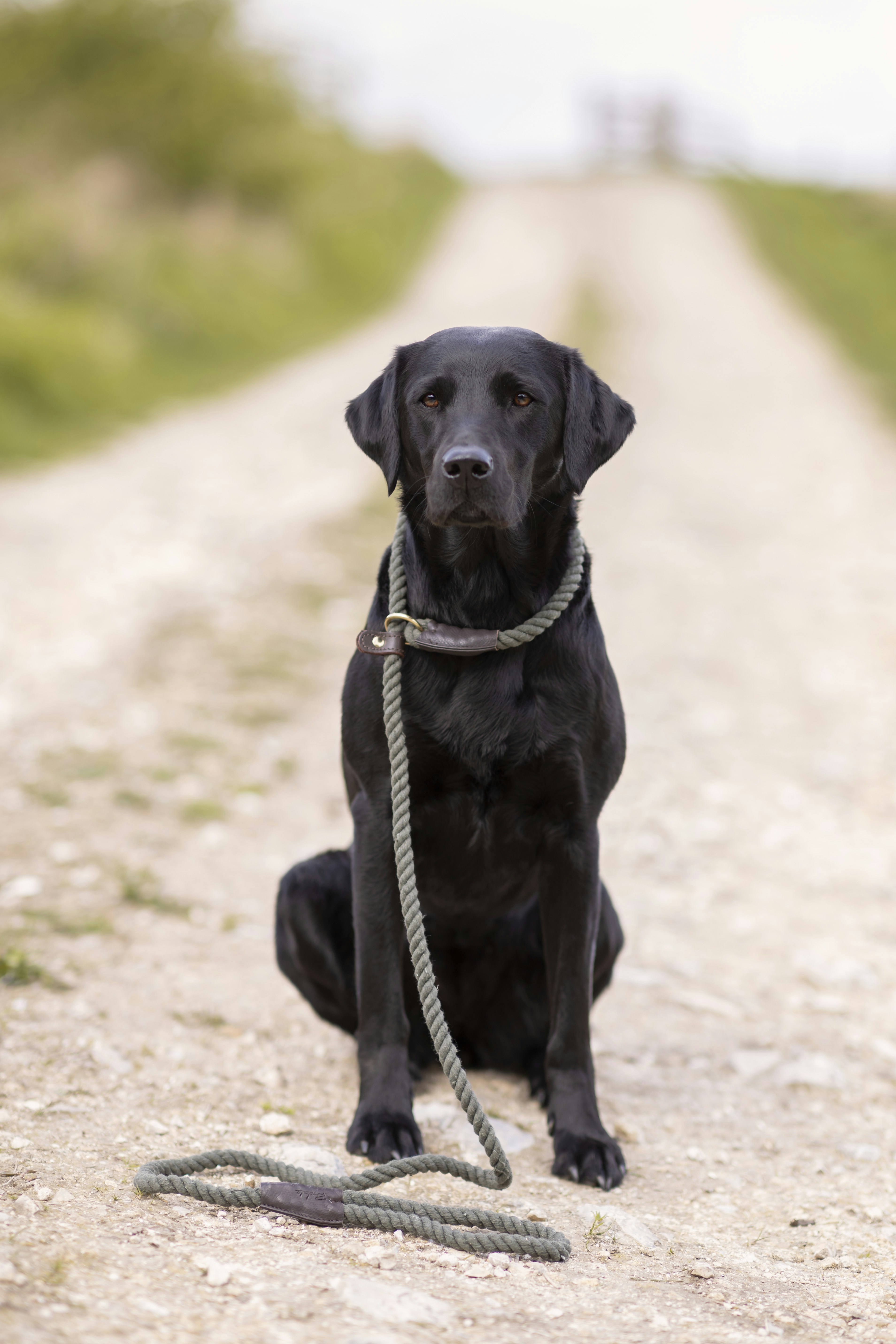 Photo by rydaleclothing