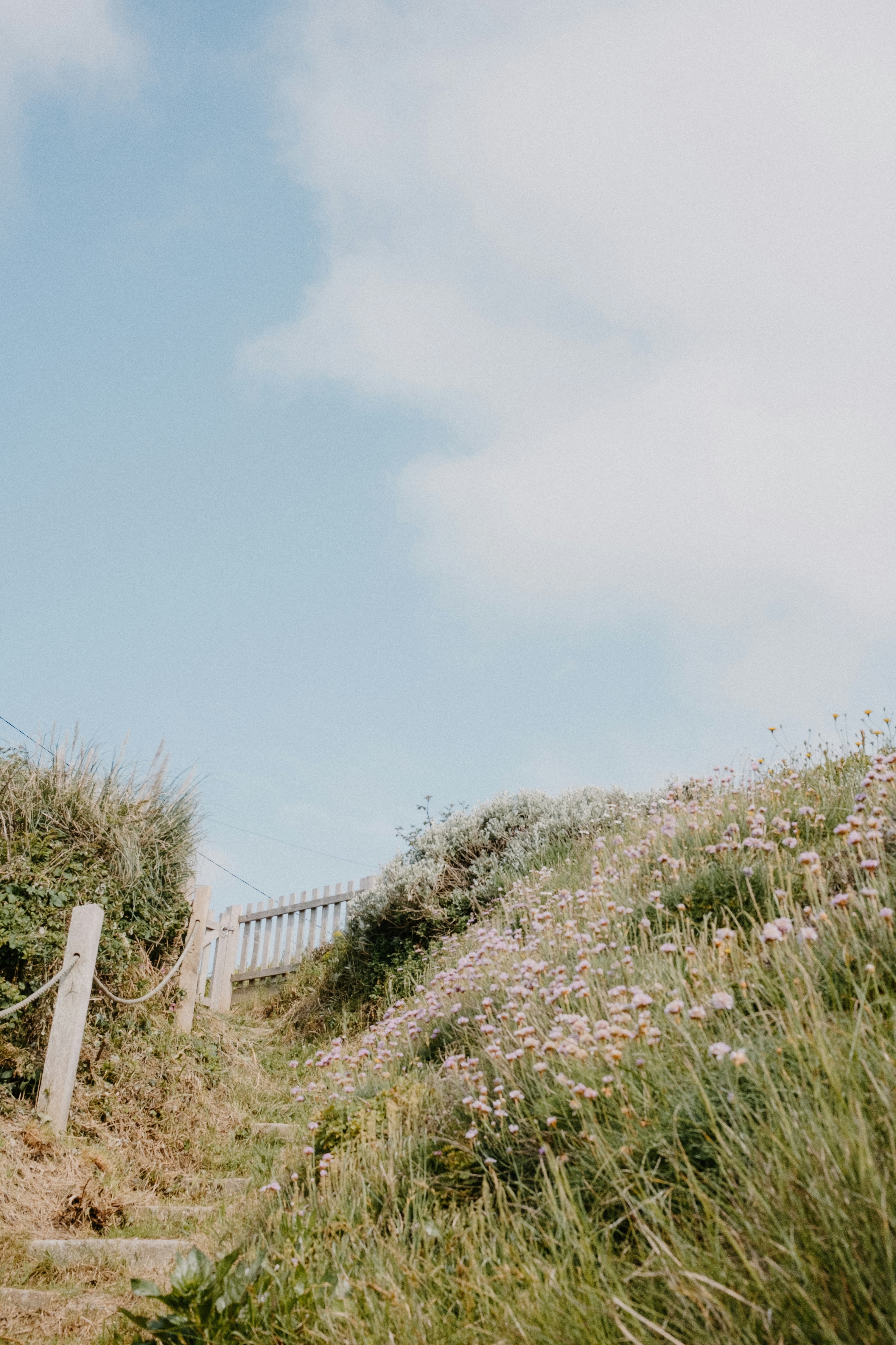 Photo by anniespratt