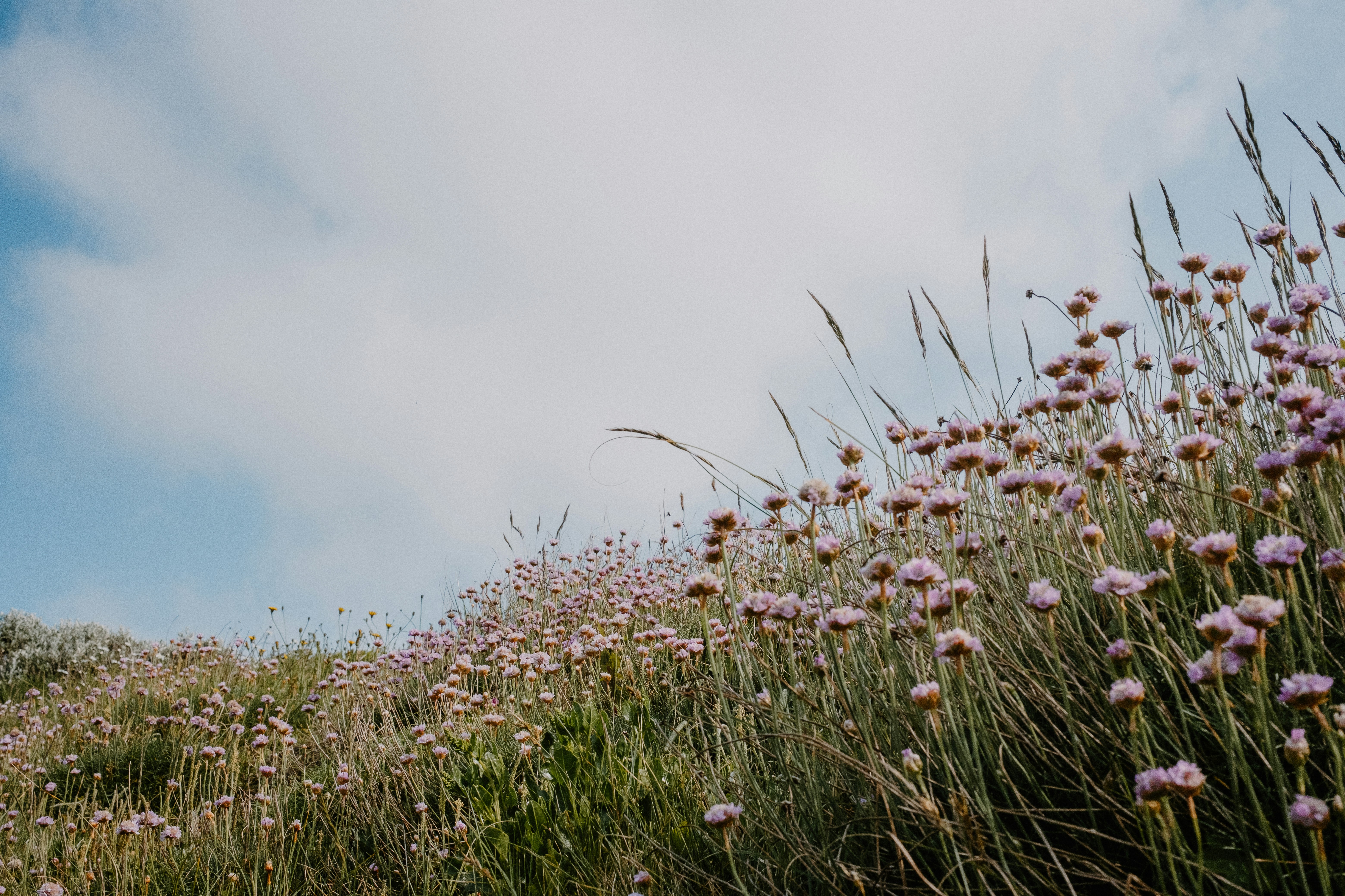 Photo by anniespratt