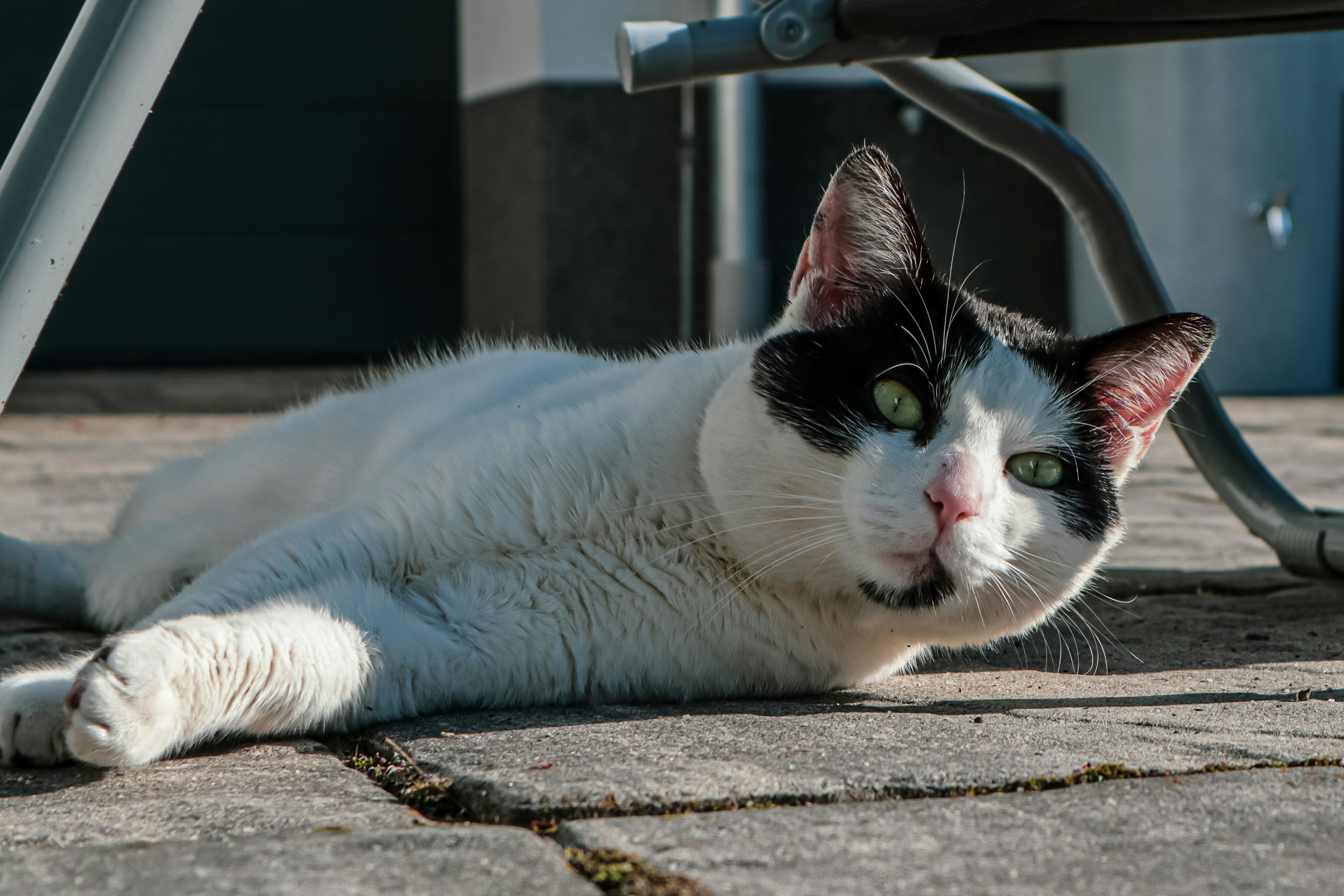 Photo by michalbocek