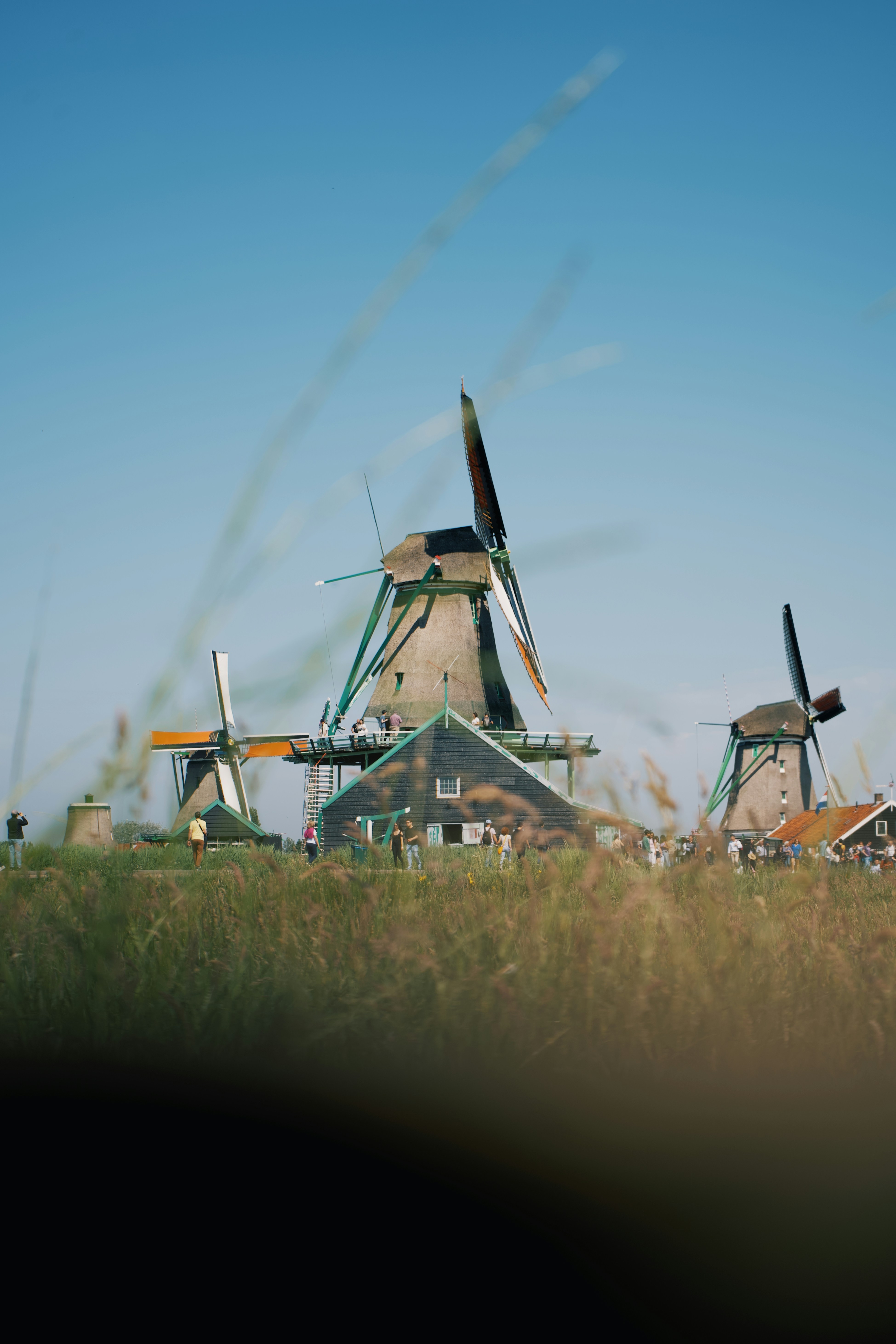 a group of windmills in a field of tall grass