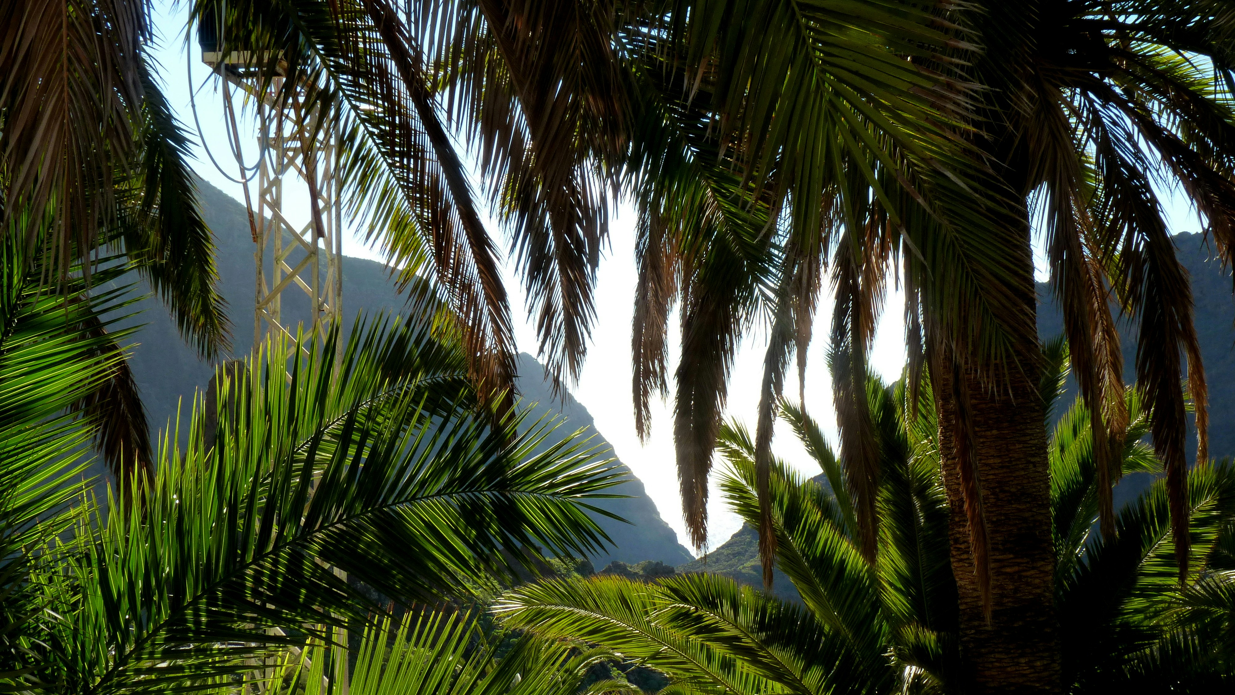 Photo by cangaroo_jack