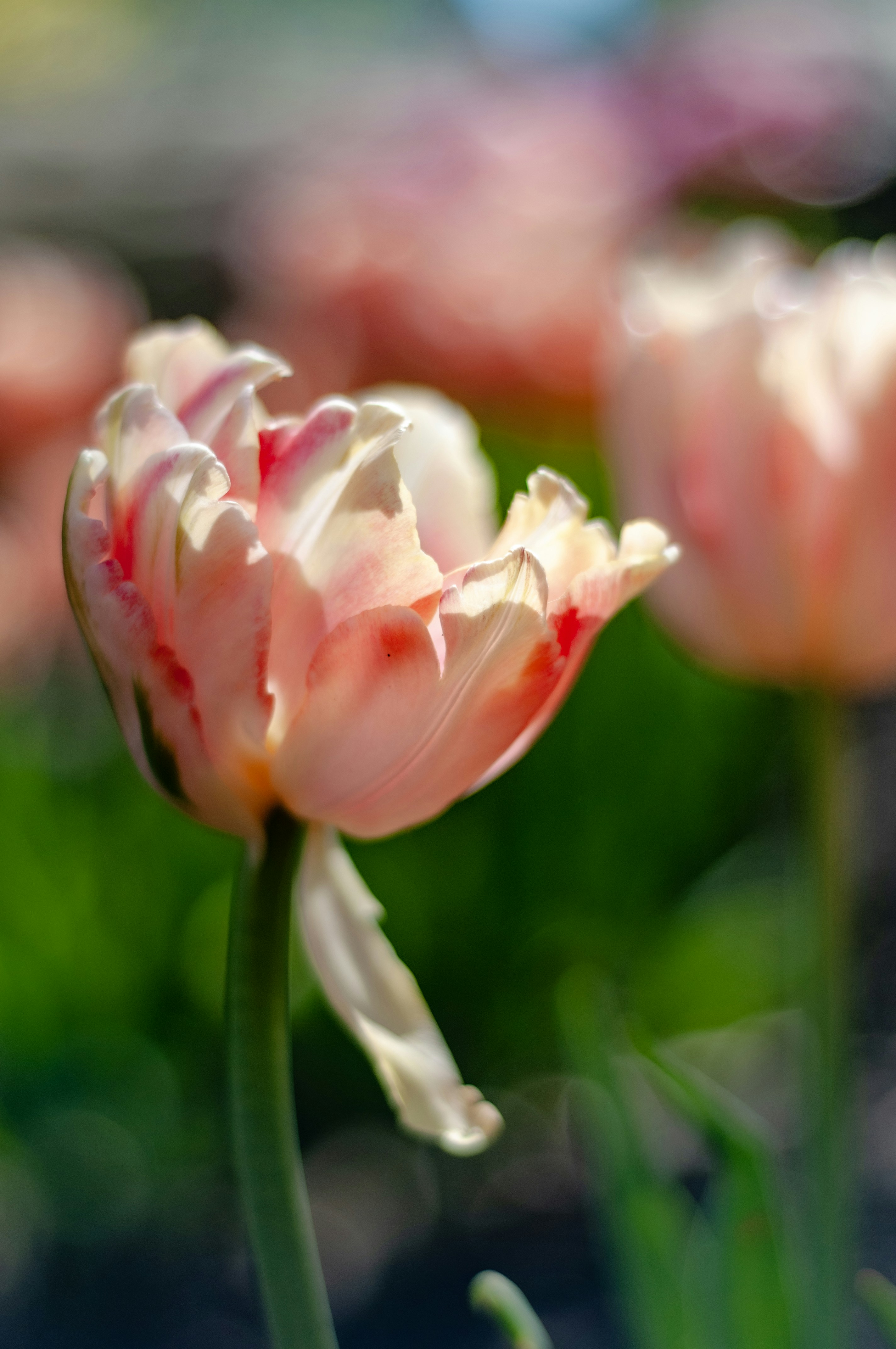 Photo by andy8647