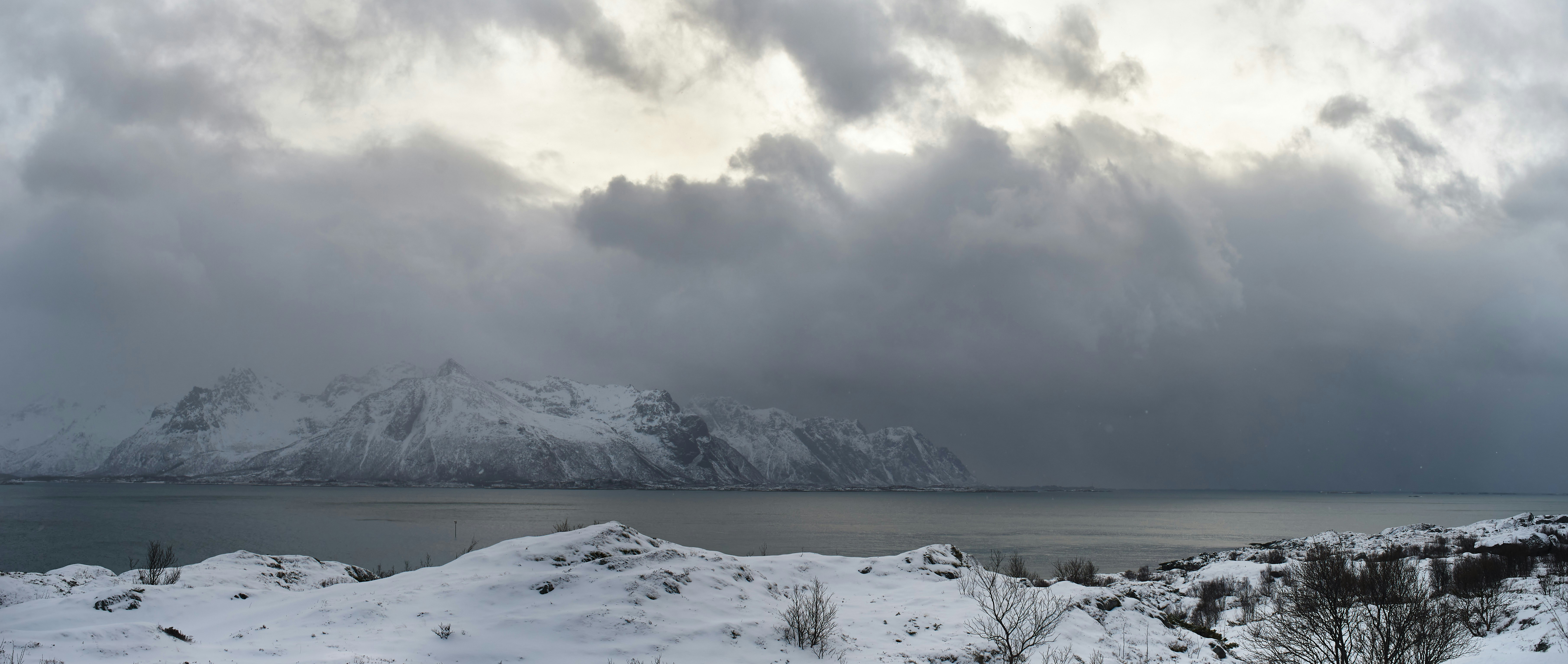 Photo by wolfgang_hasselmann