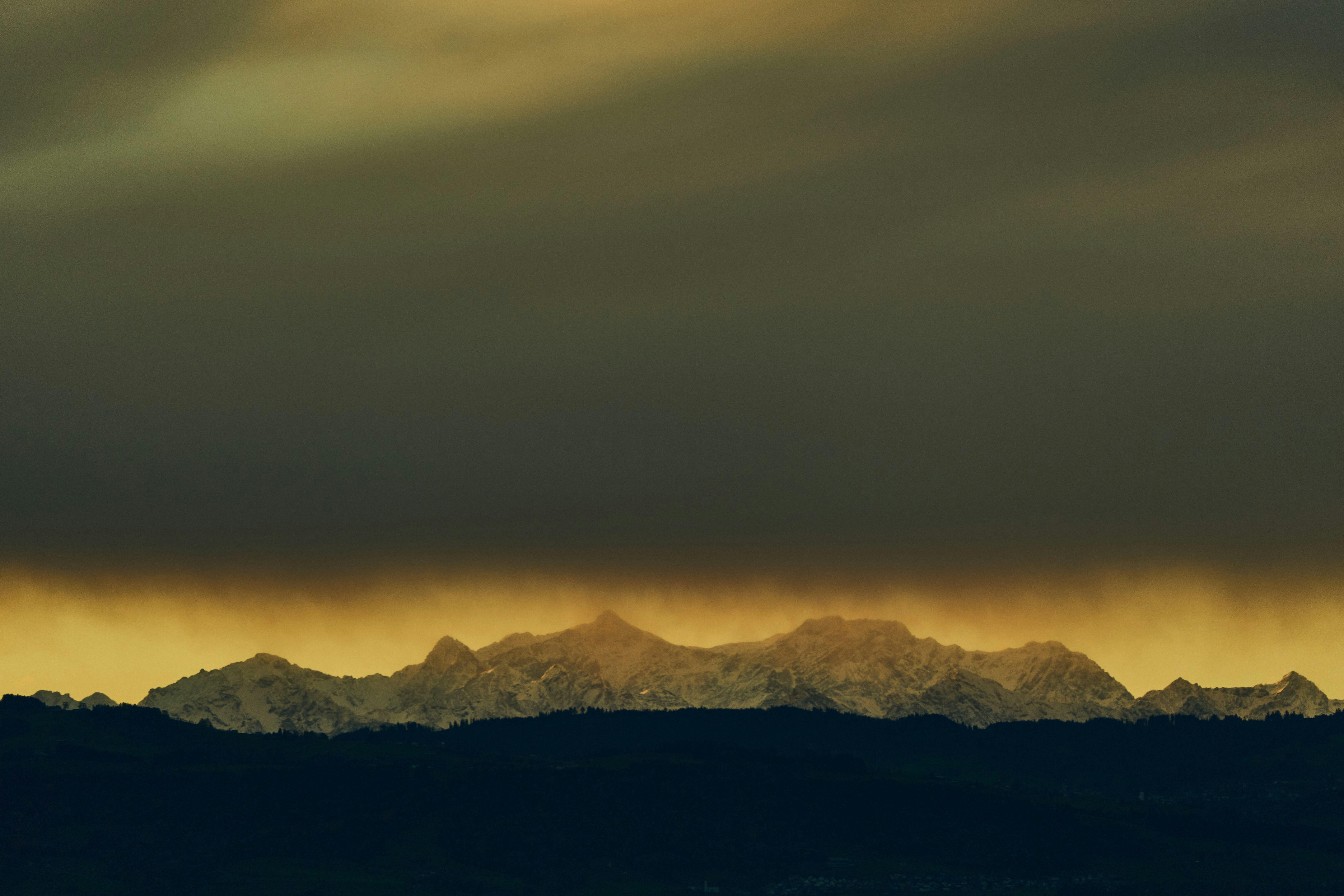 Photo by wolfgang_hasselmann