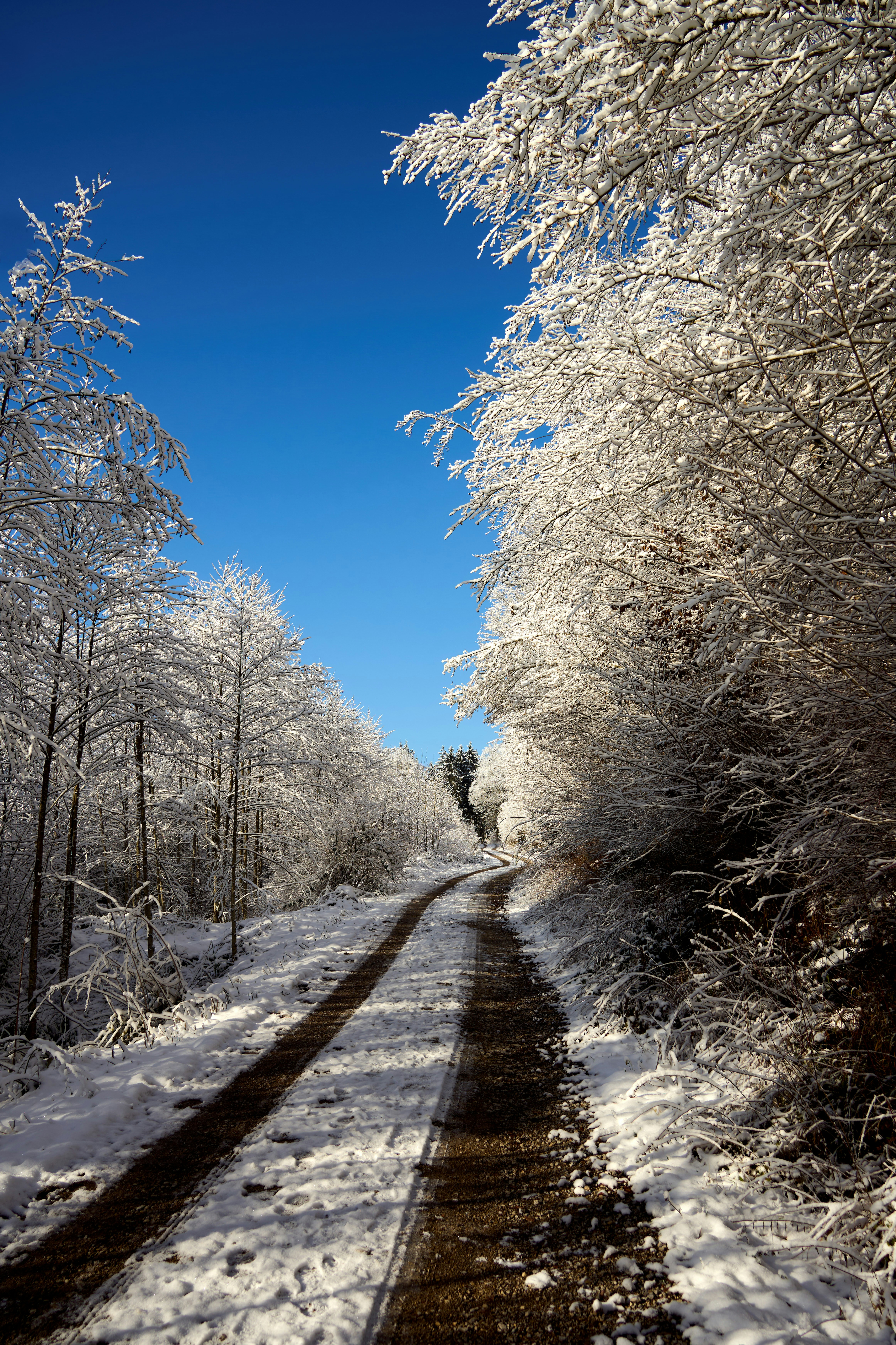 Photo by wolfgang_hasselmann