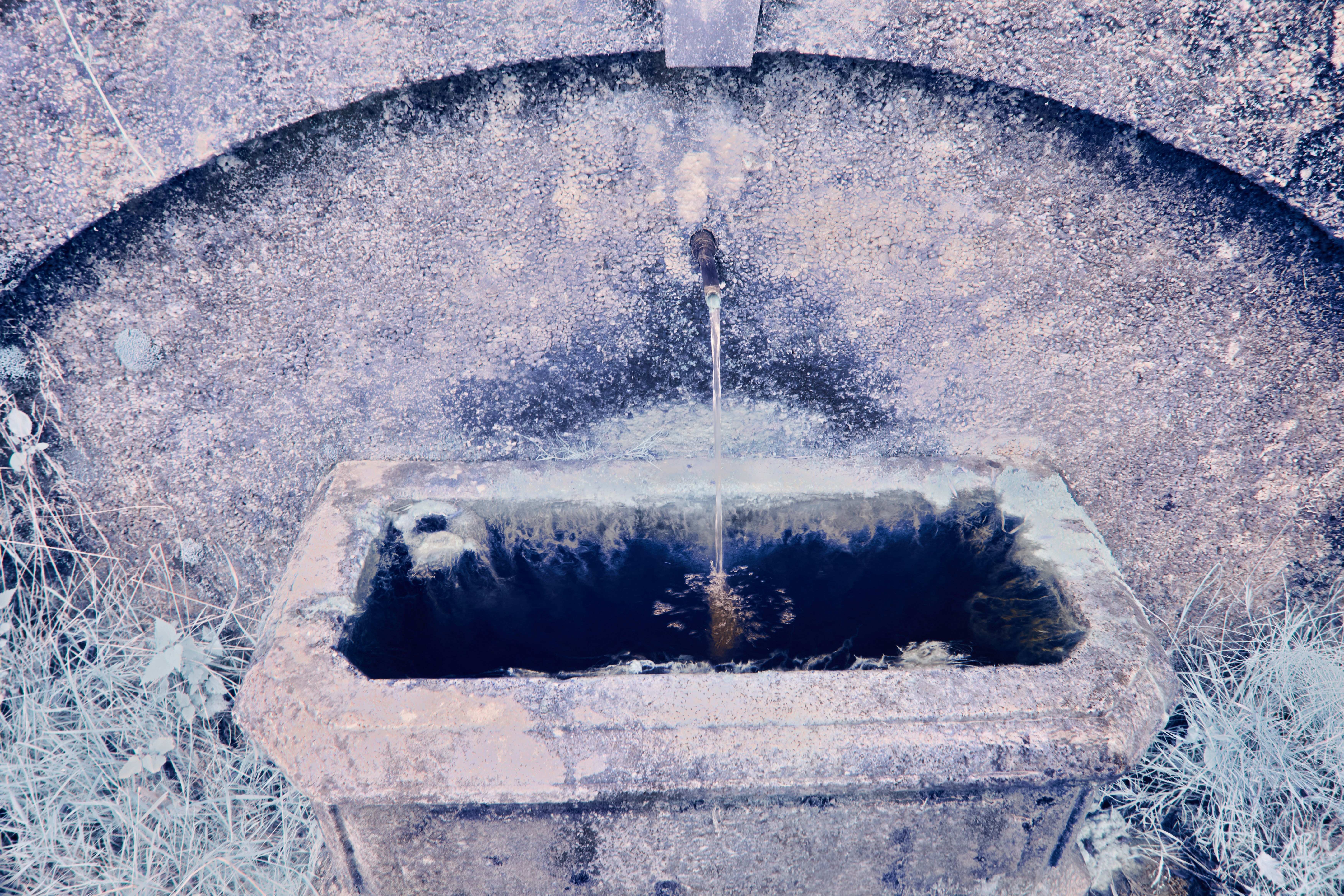 Comparaison entre purificateur et fontaine à eau