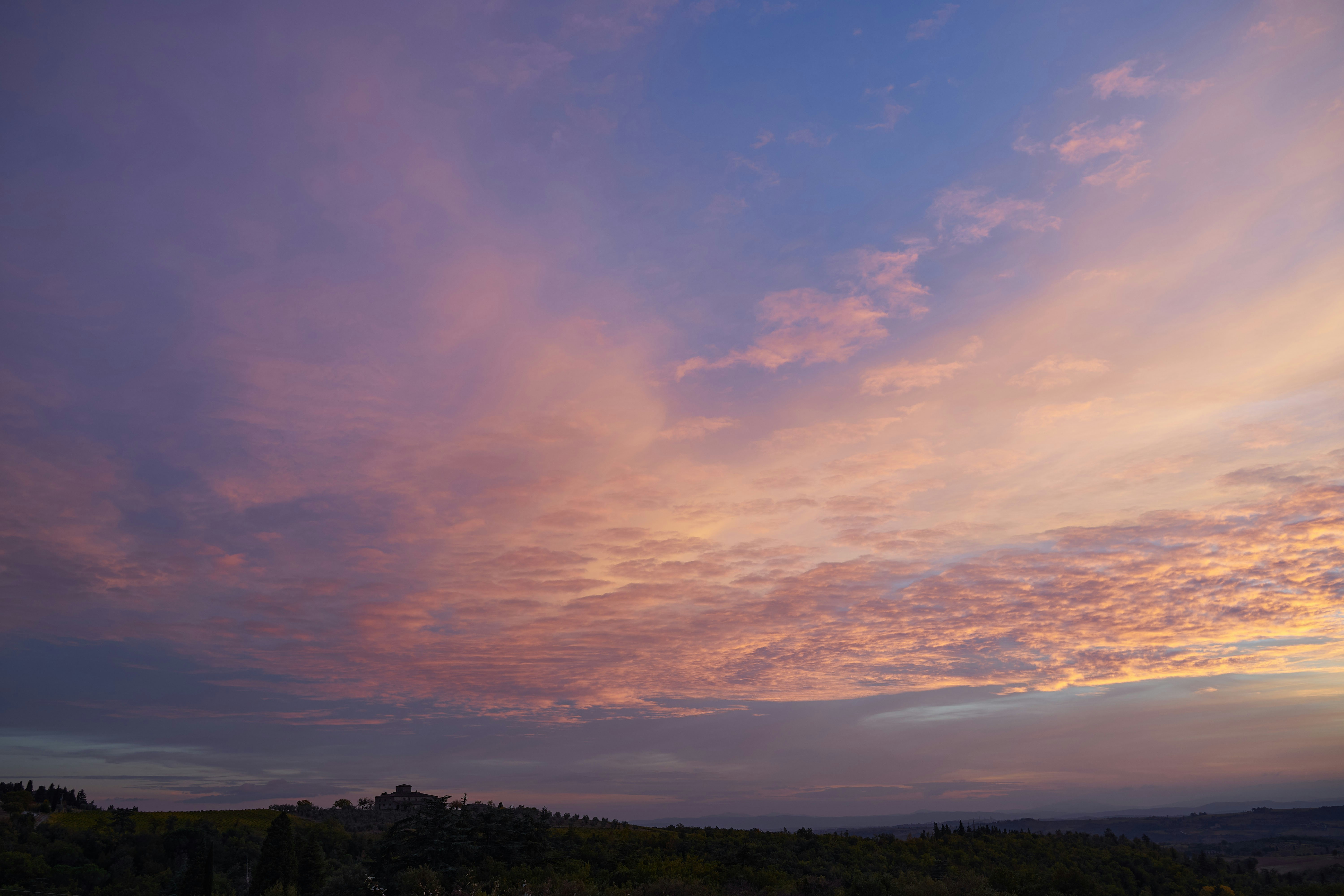 Photo by wolfgang_hasselmann