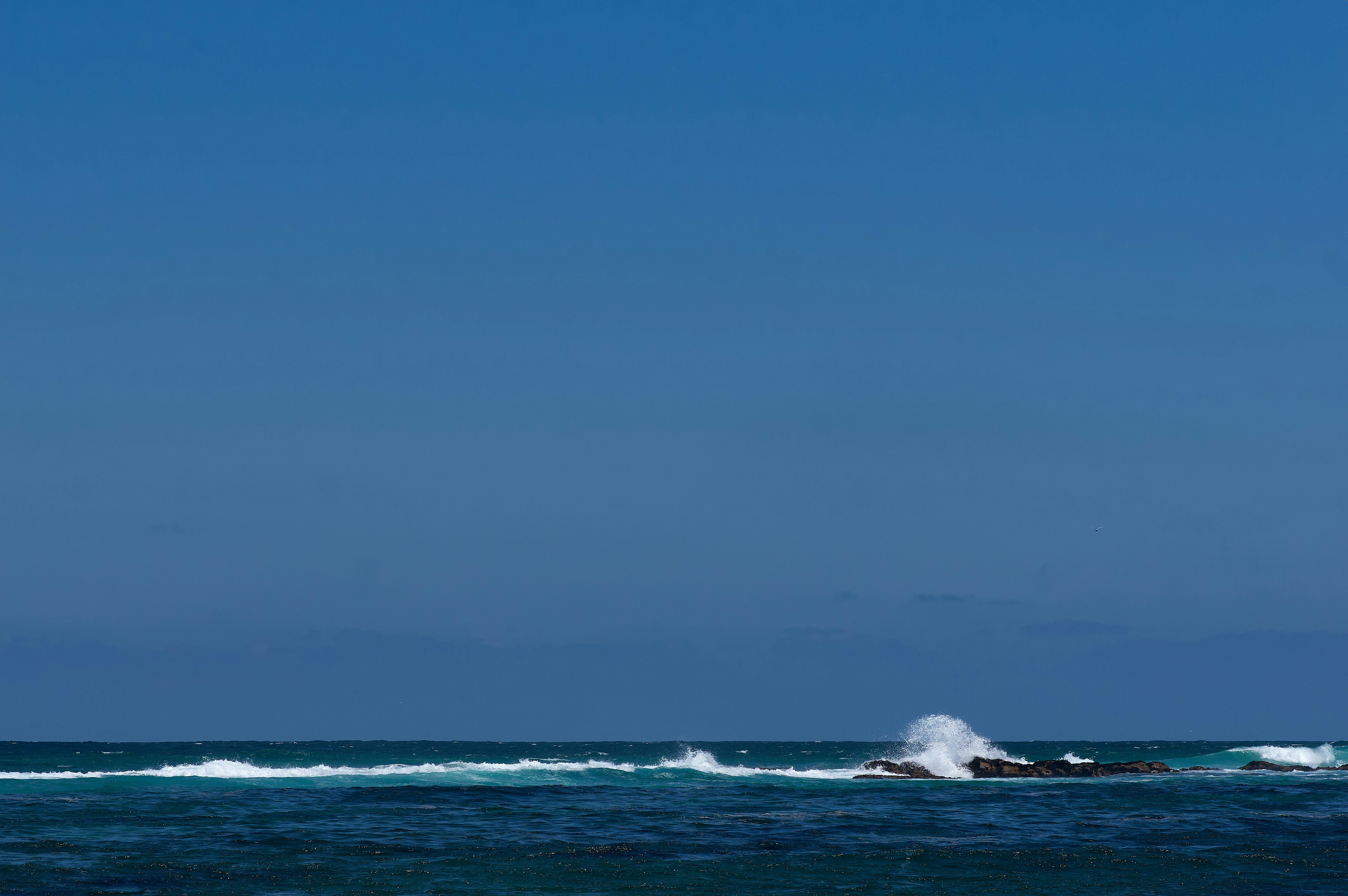 Photo by wolfgang_hasselmann