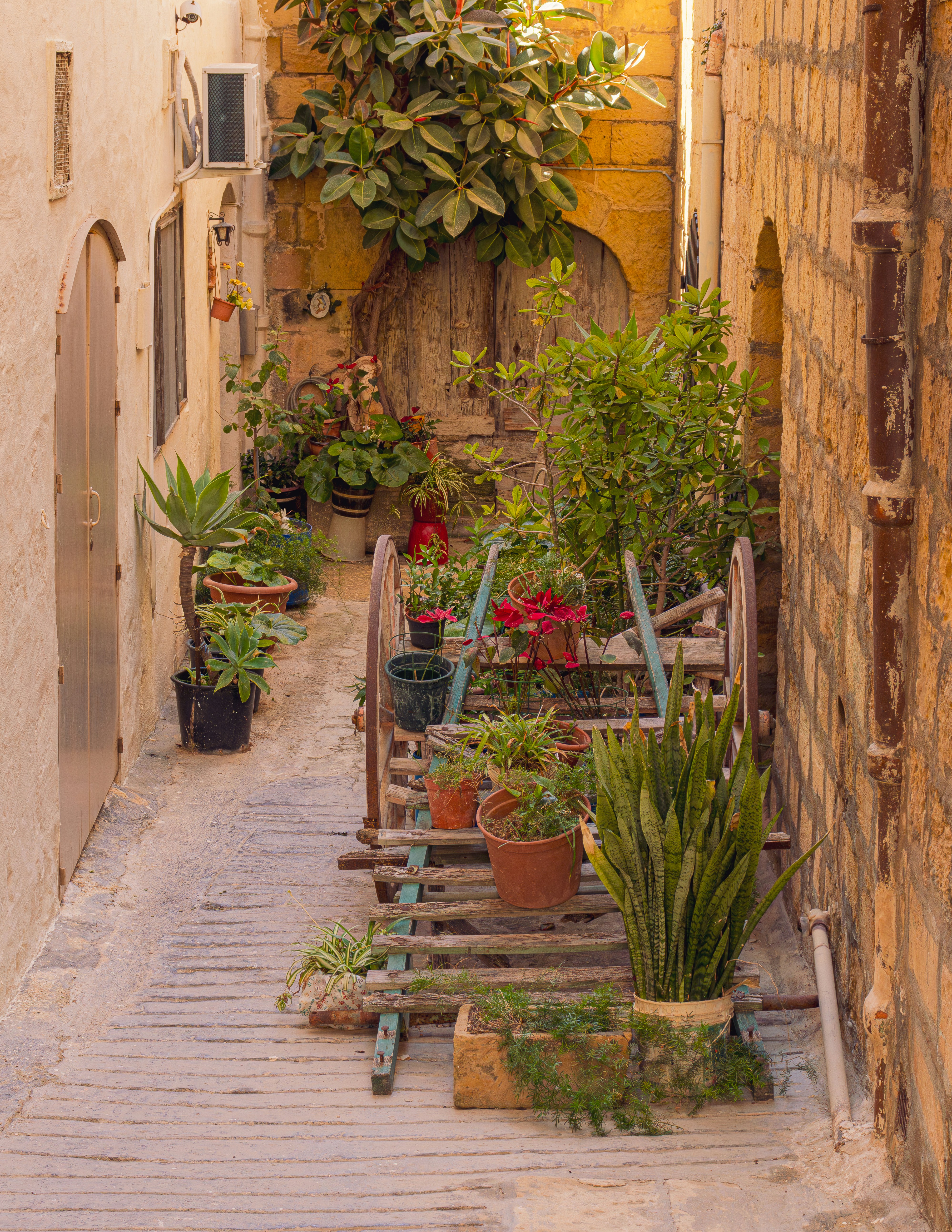 Photo by christian_attard