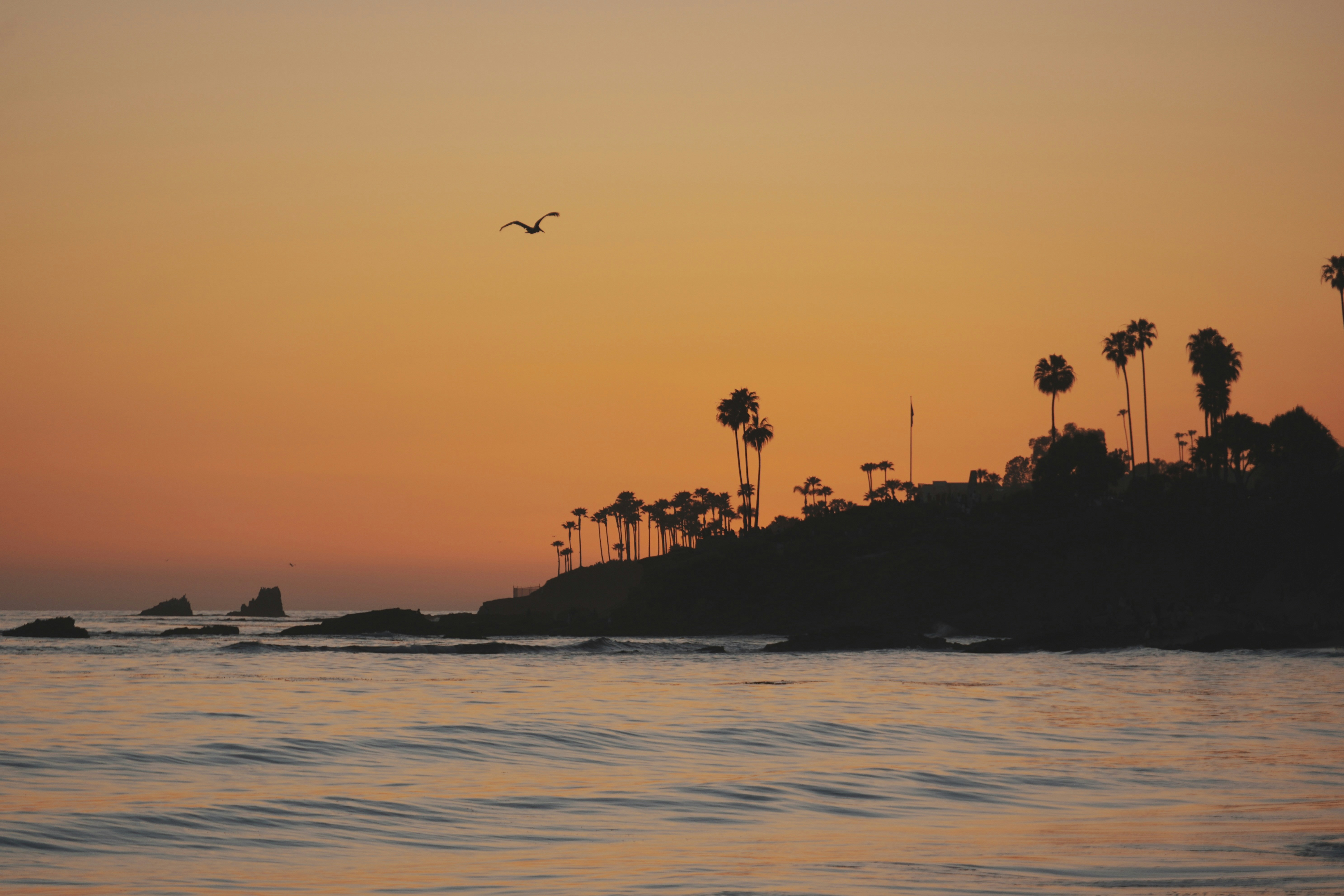Sunset Beach Park