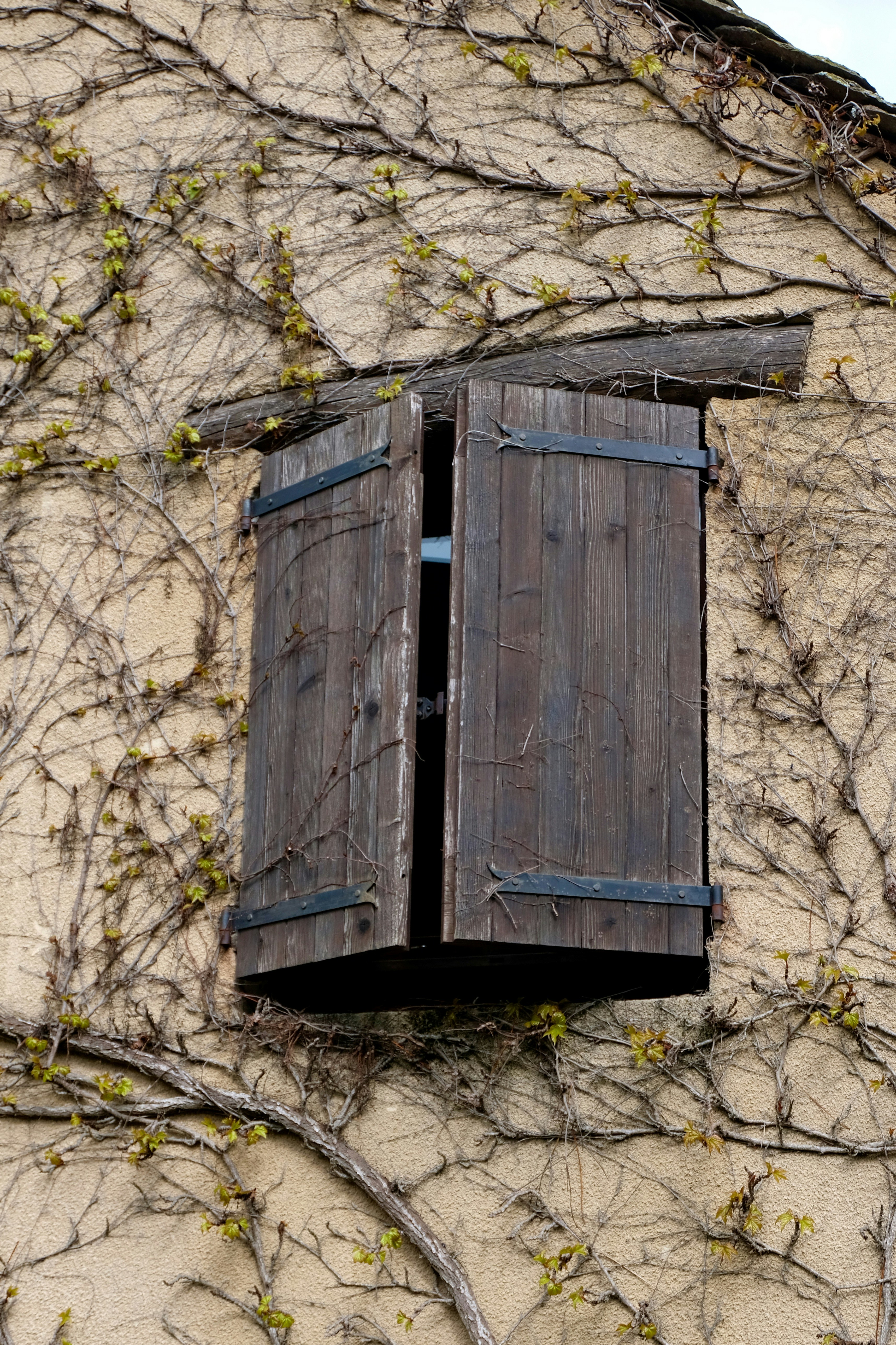 Photo by rosaliegdy