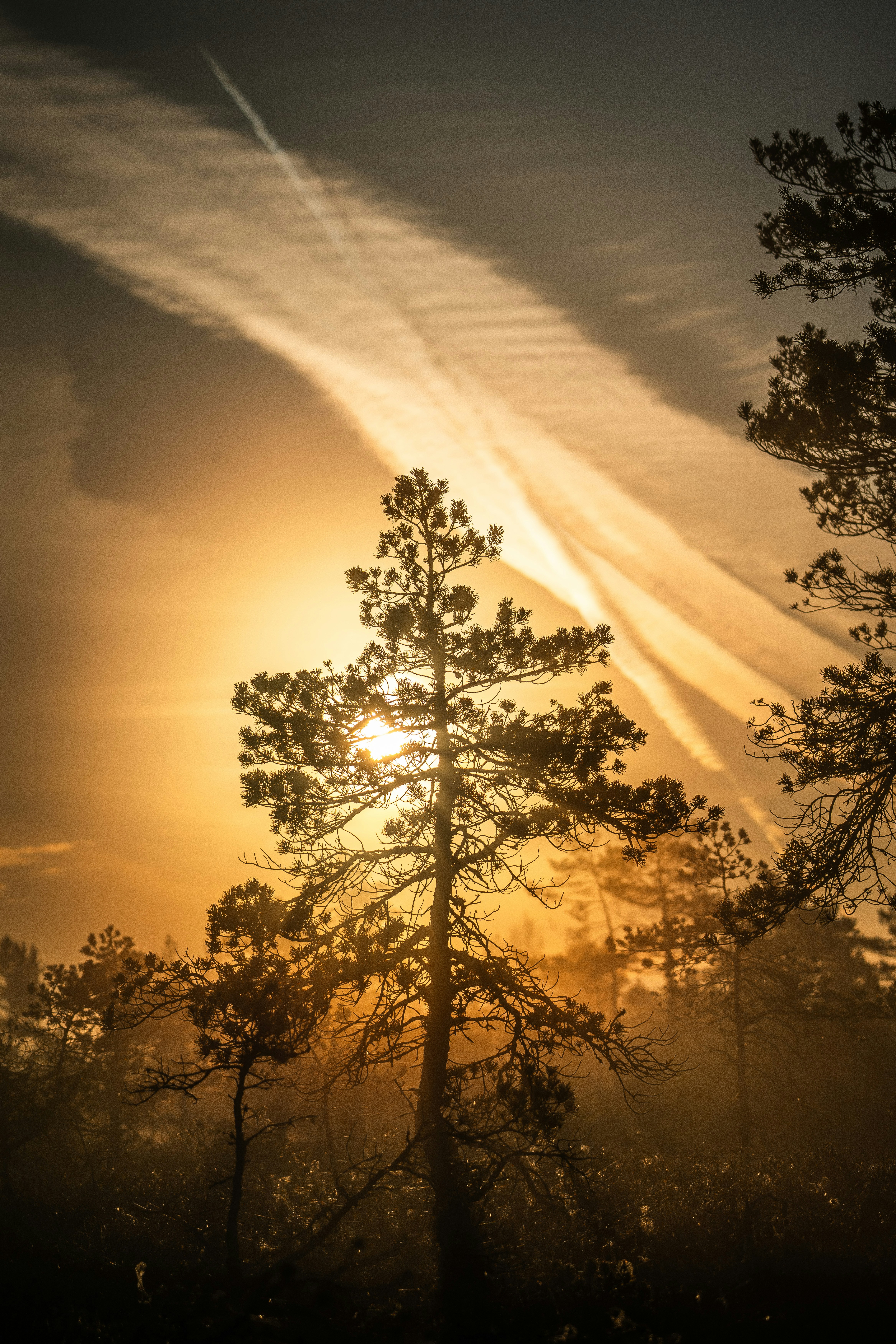 Photo by janekvaldsalu